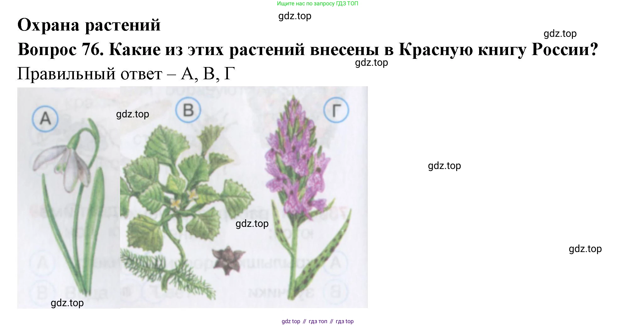Окружающий мир, 3 класс Тесты, авторы: Плешаков Андрей Анатольевич, Гара Наталья Николаевна, Назарова З Д, издательство Просвещение, Москва, 2014, белого цвета, страница 24, номер 76, Решение