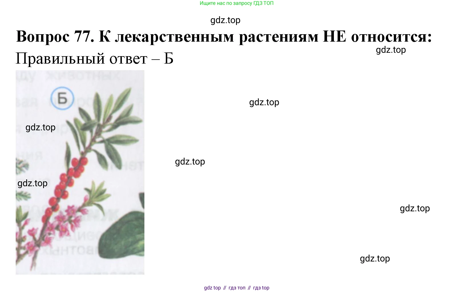 Окружающий мир, 3 класс Тесты, авторы: Плешаков Андрей Анатольевич, Гара Наталья Николаевна, Назарова З Д, издательство Просвещение, Москва, 2014, белого цвета, страница 25, номер 77, Решение