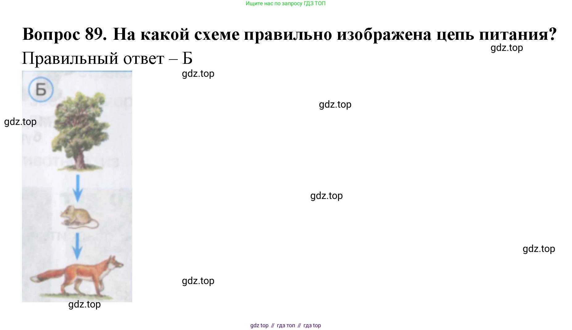 Окружающий мир, 3 класс Тесты, авторы: Плешаков Андрей Анатольевич, Гара Наталья Николаевна, Назарова З Д, издательство Просвещение, Москва, 2014, белого цвета, страница 28, номер 89, Решение