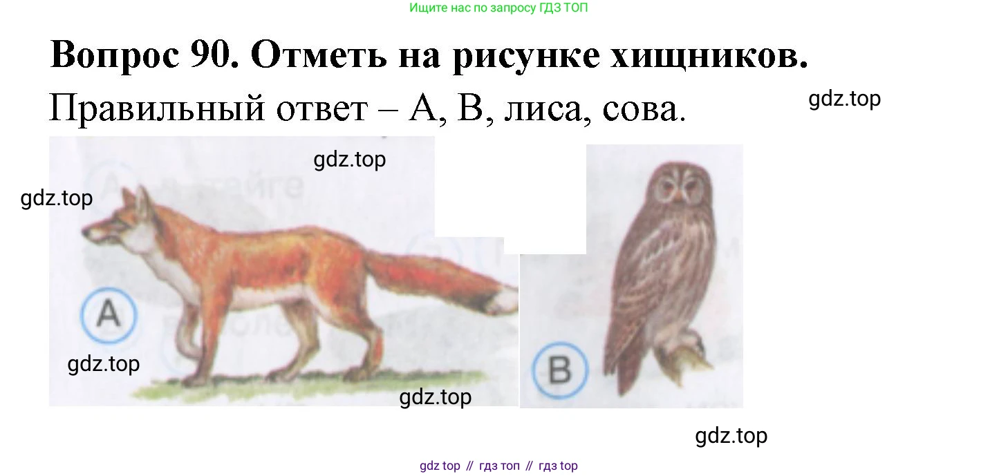 Окружающий мир, 3 класс Тесты, авторы: Плешаков Андрей Анатольевич, Гара Наталья Николаевна, Назарова З Д, издательство Просвещение, Москва, 2014, белого цвета, страница 29, номер 90, Решение
