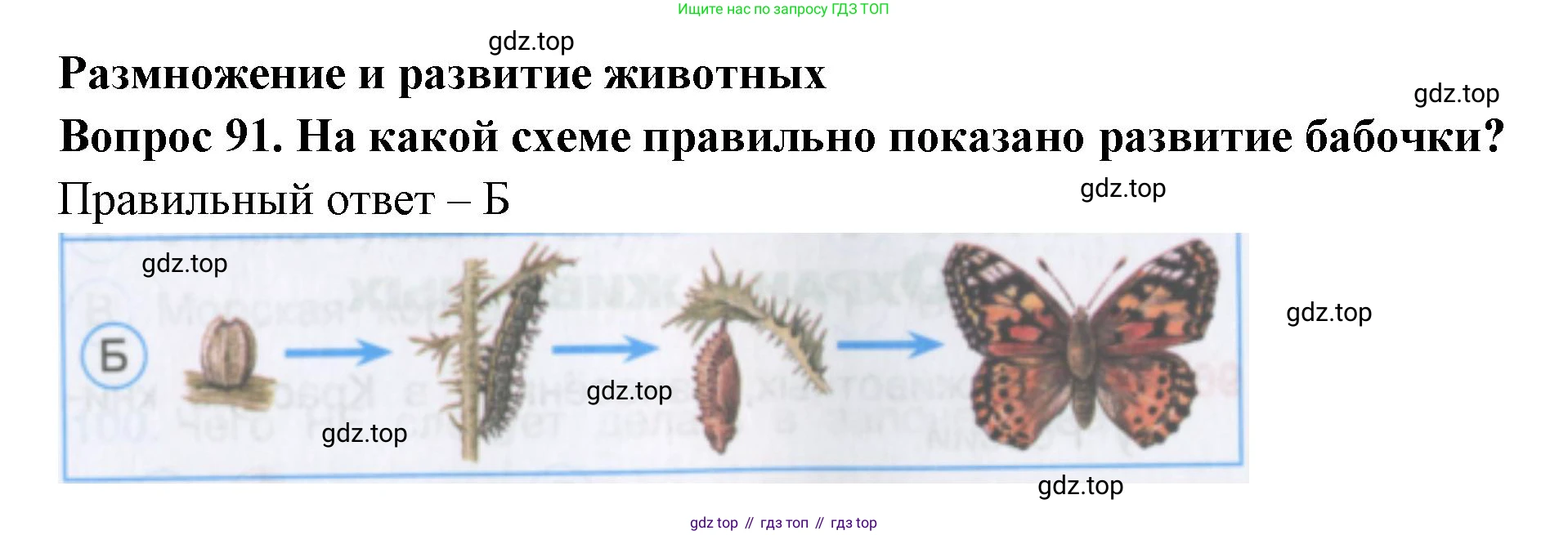 Окружающий мир, 3 класс Тесты, авторы: Плешаков Андрей Анатольевич, Гара Наталья Николаевна, Назарова З Д, издательство Просвещение, Москва, 2014, белого цвета, страница 29, номер 91, Решение