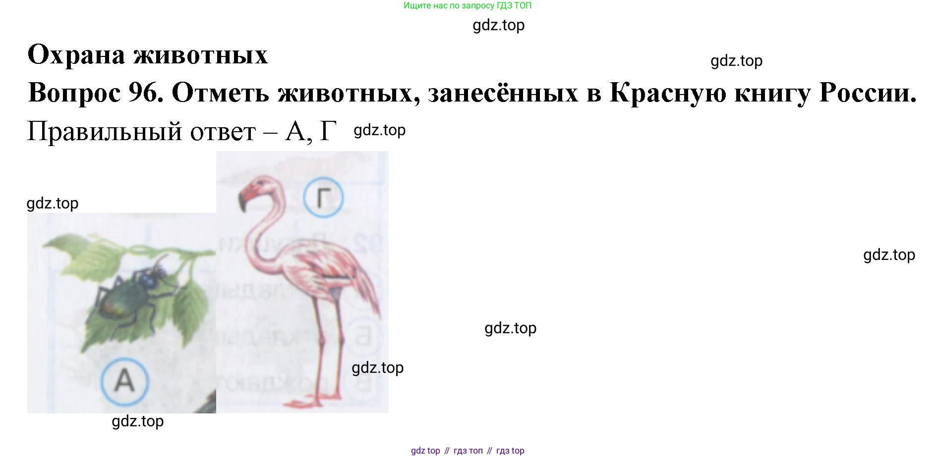 Окружающий мир, 3 класс Тесты, авторы: Плешаков Андрей Анатольевич, Гара Наталья Николаевна, Назарова З Д, издательство Просвещение, Москва, 2014, белого цвета, страница 30, номер 96, Решение