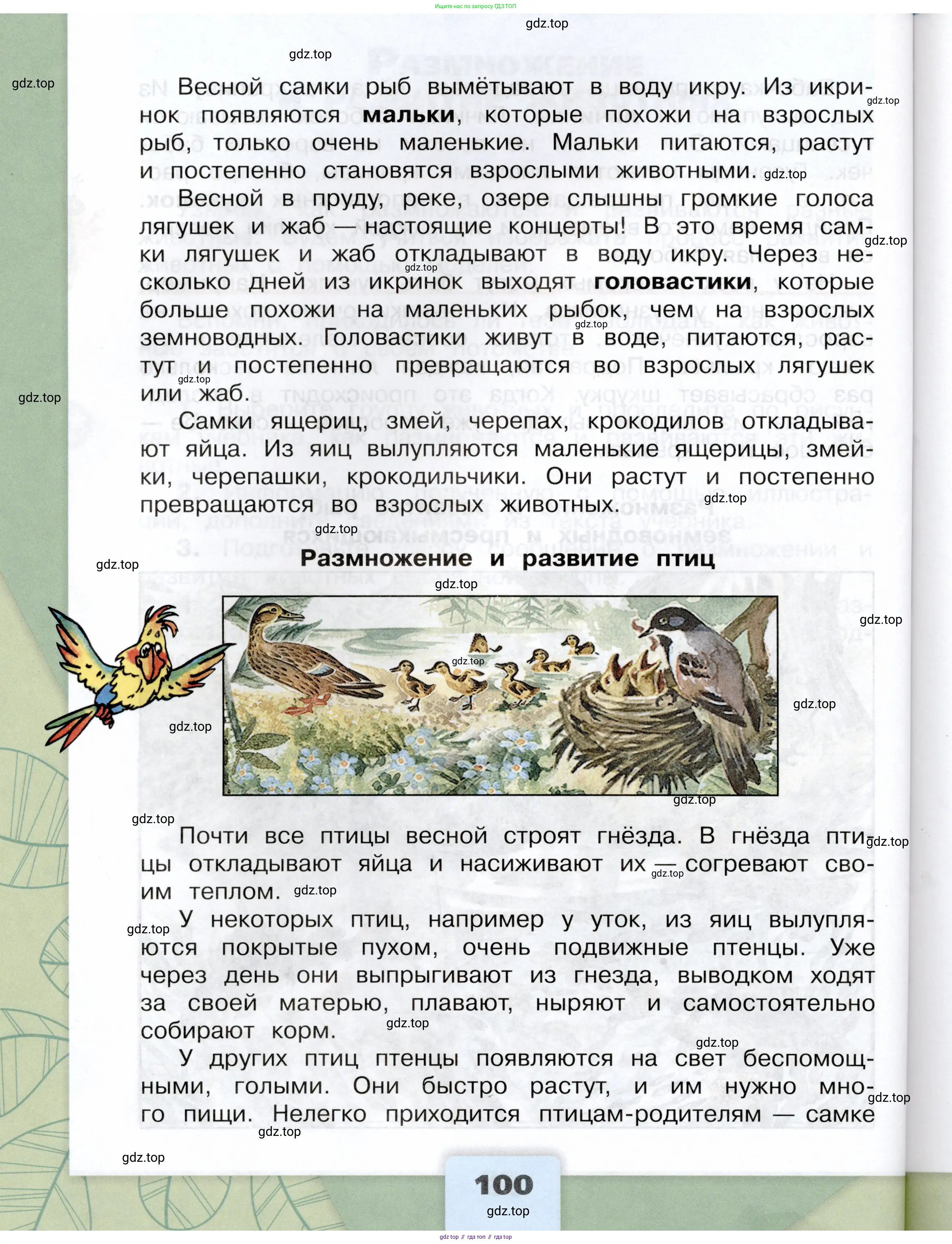 Окружающий мир, 3 класс Учебник, автор: Плешаков Андрей Анатольевич, издательство Просвещение, Москва, 2023, белого цвета, Часть 2, страница 100