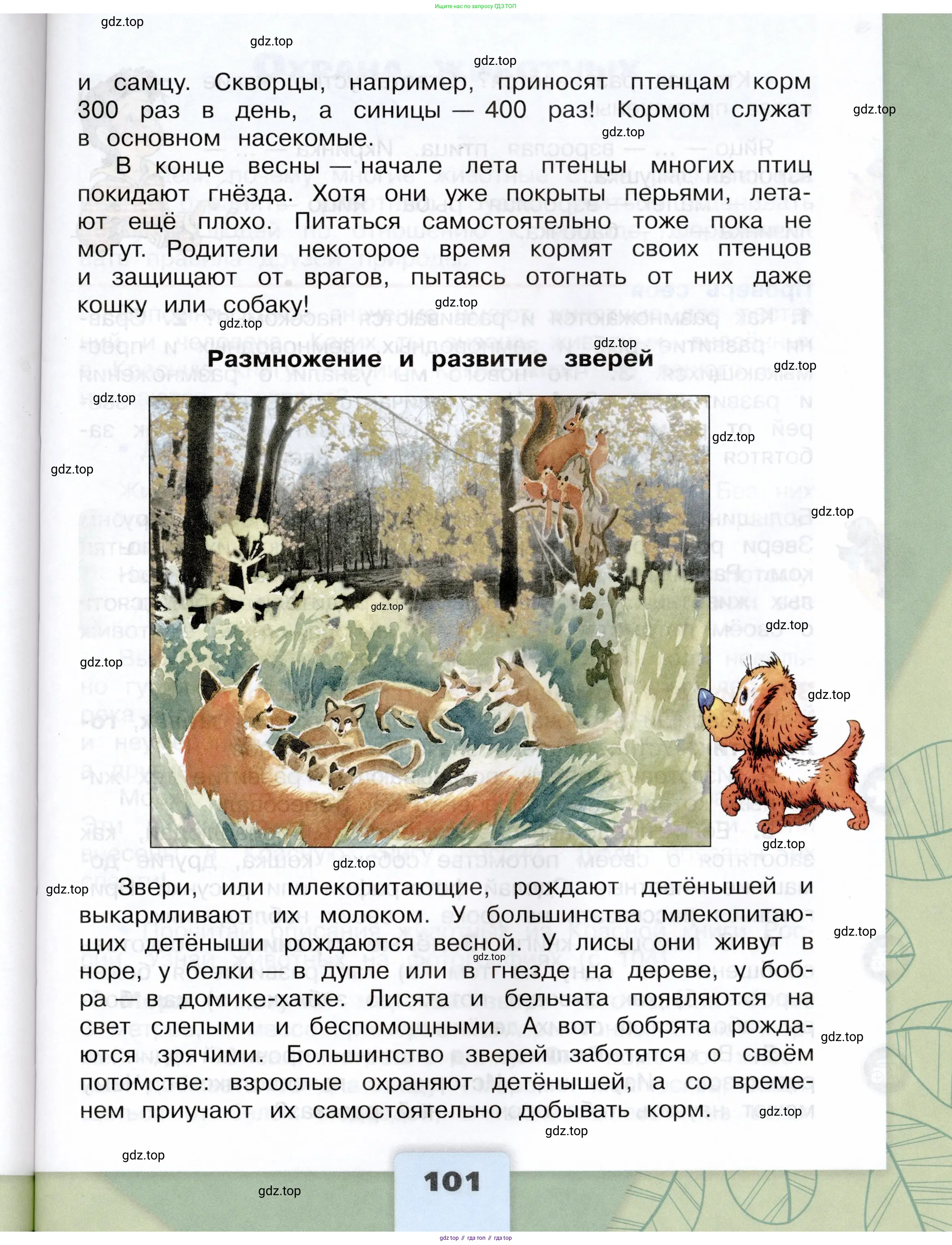 Окружающий мир, 3 класс Учебник, автор: Плешаков Андрей Анатольевич, издательство Просвещение, Москва, 2023, белого цвета, страница 101