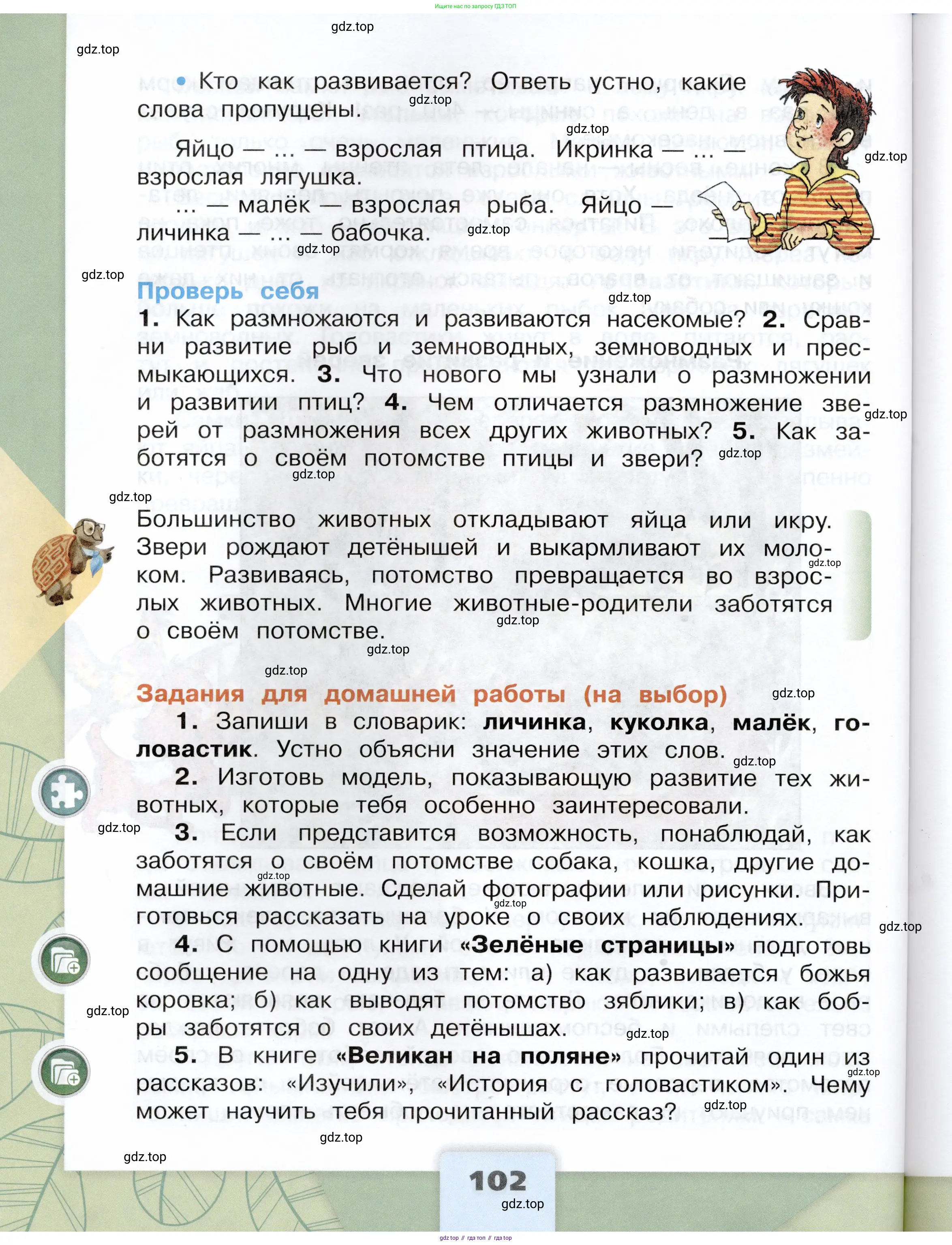 Окружающий мир, 3 класс Учебник, автор: Плешаков Андрей Анатольевич, издательство Просвещение, Москва, 2023, белого цвета, страница 102