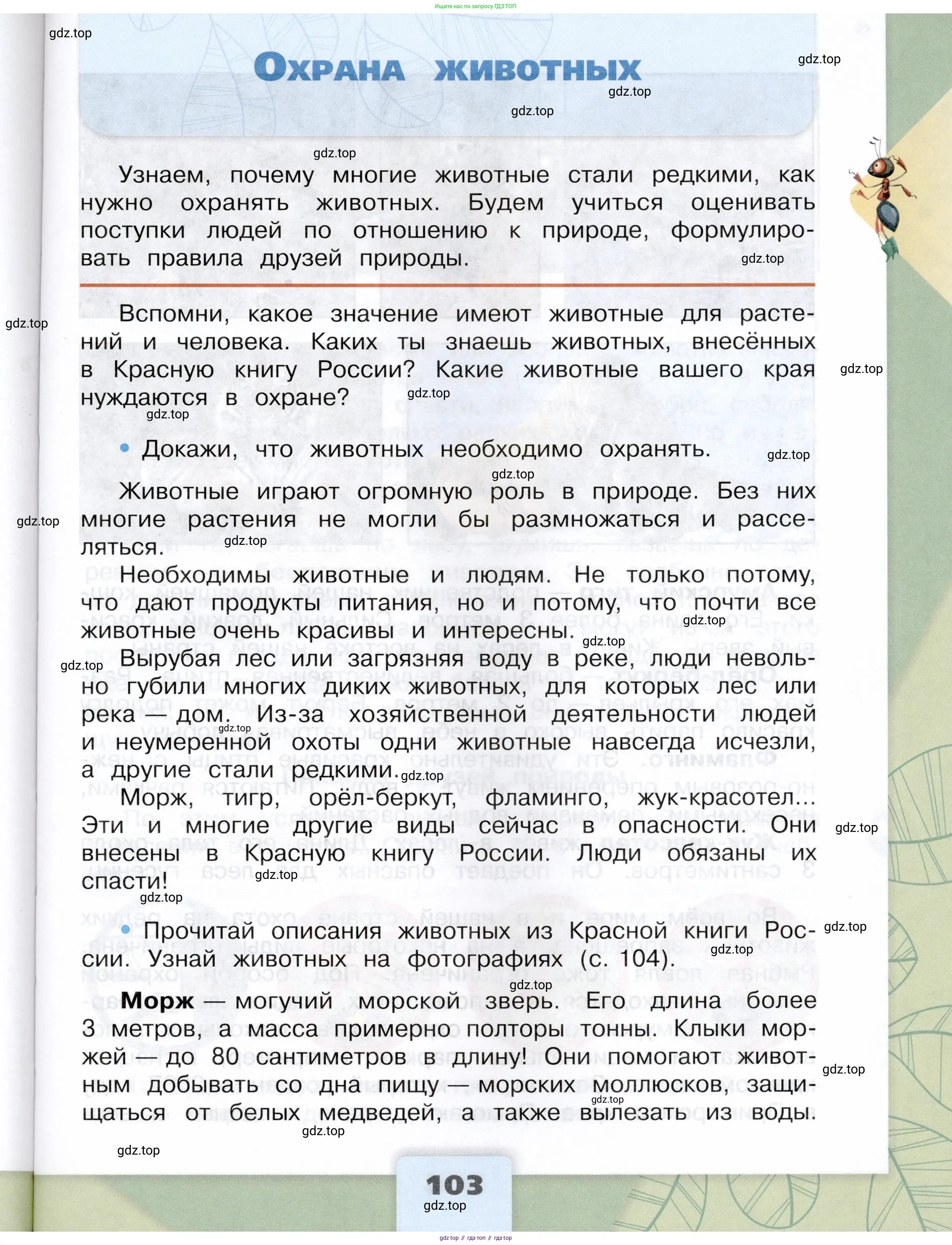 Окружающий мир, 3 класс Учебник, автор: Плешаков Андрей Анатольевич, издательство Просвещение, Москва, 2023, белого цвета, Часть 1, страница 103