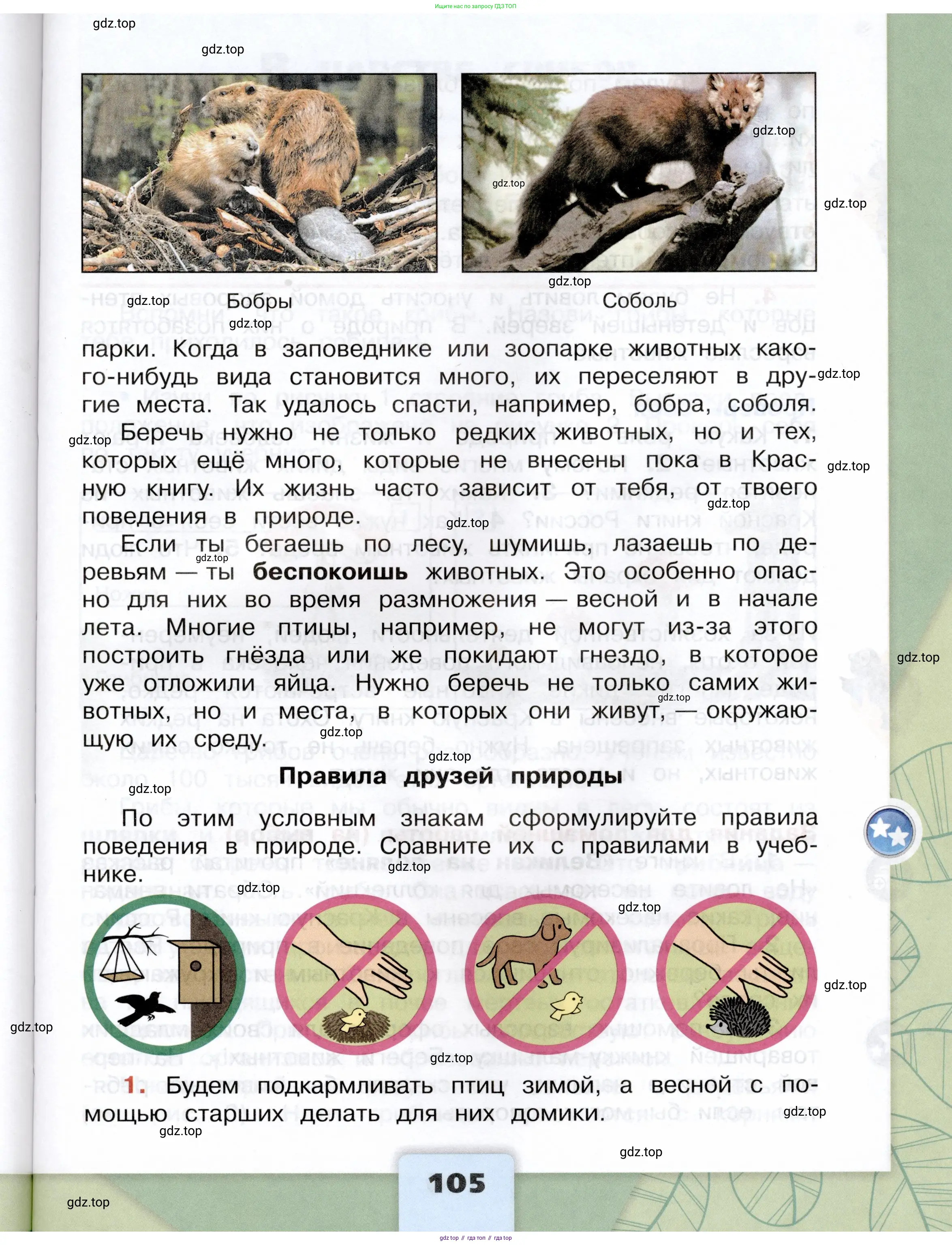 Окружающий мир, 3 класс Учебник, автор: Плешаков Андрей Анатольевич, издательство Просвещение, Москва, 2023, белого цвета, страница 105