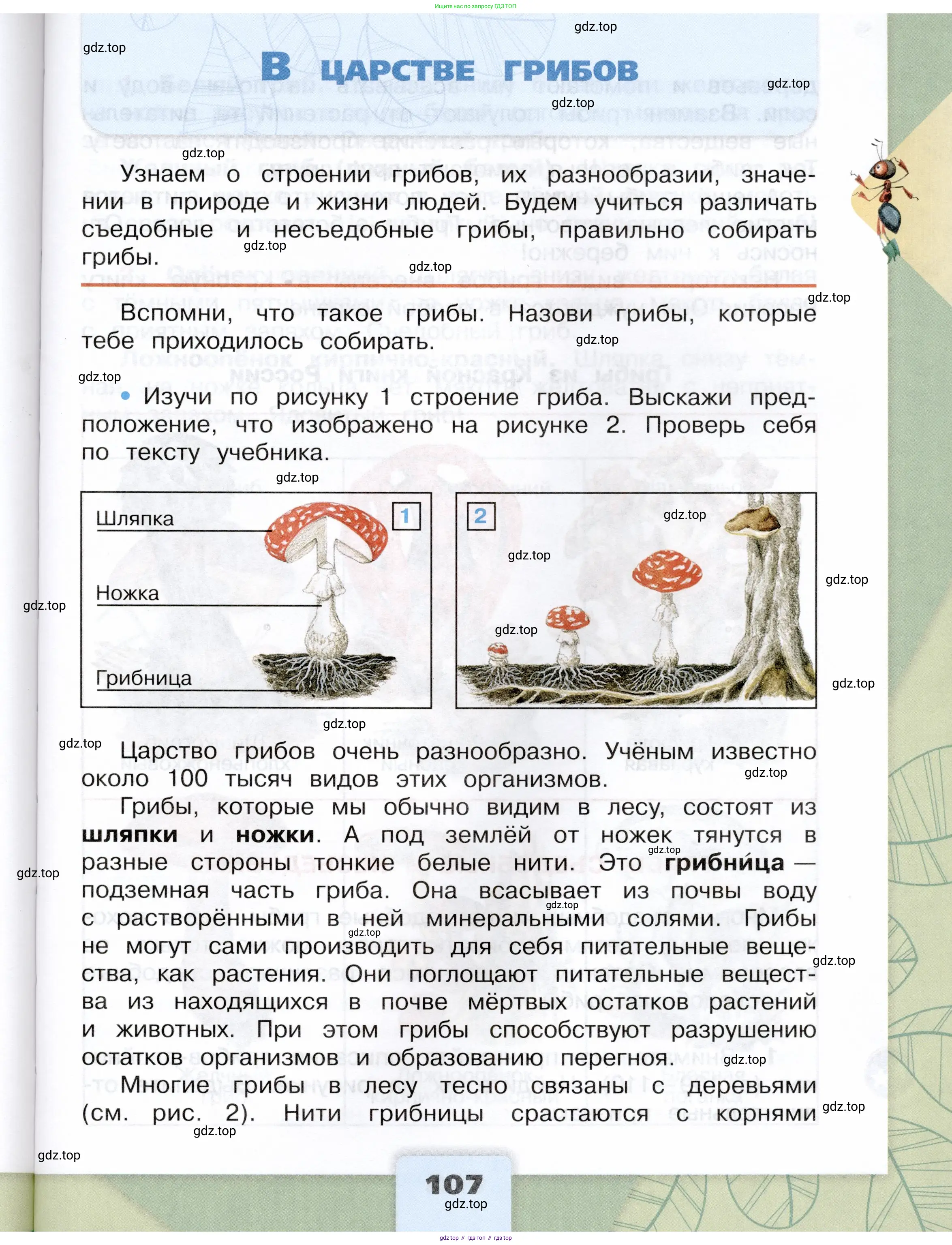 Окружающий мир, 3 класс Учебник, автор: Плешаков Андрей Анатольевич, издательство Просвещение, Москва, 2023, белого цвета, Часть 1, страница 107