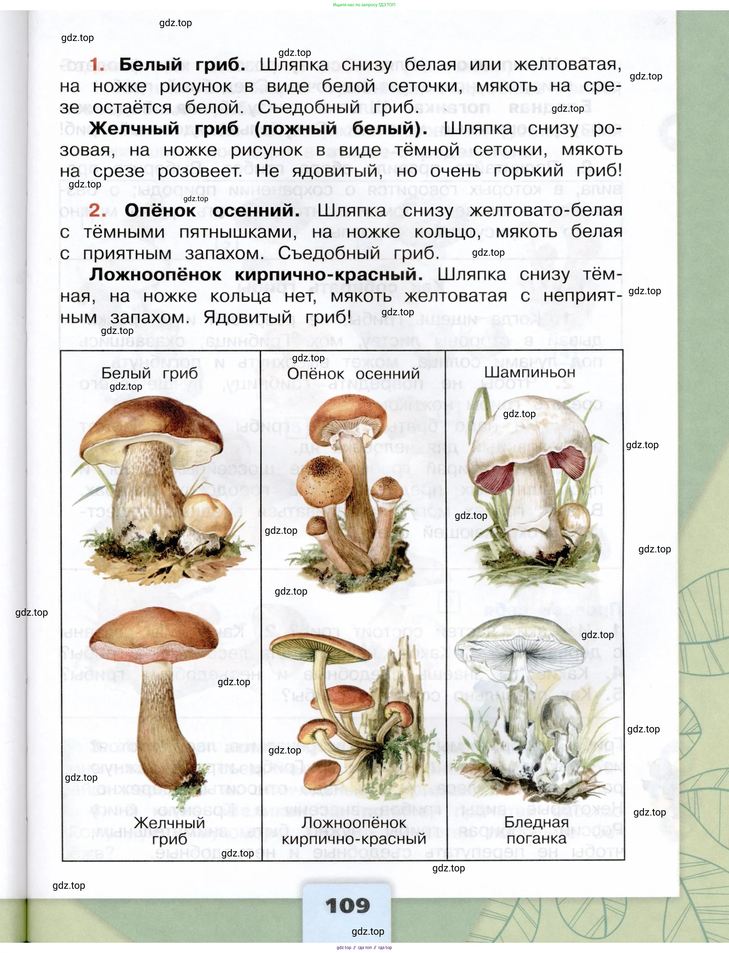 Окружающий мир, 3 класс Учебник, автор: Плешаков Андрей Анатольевич, издательство Просвещение, Москва, 2023, белого цвета, страница 109