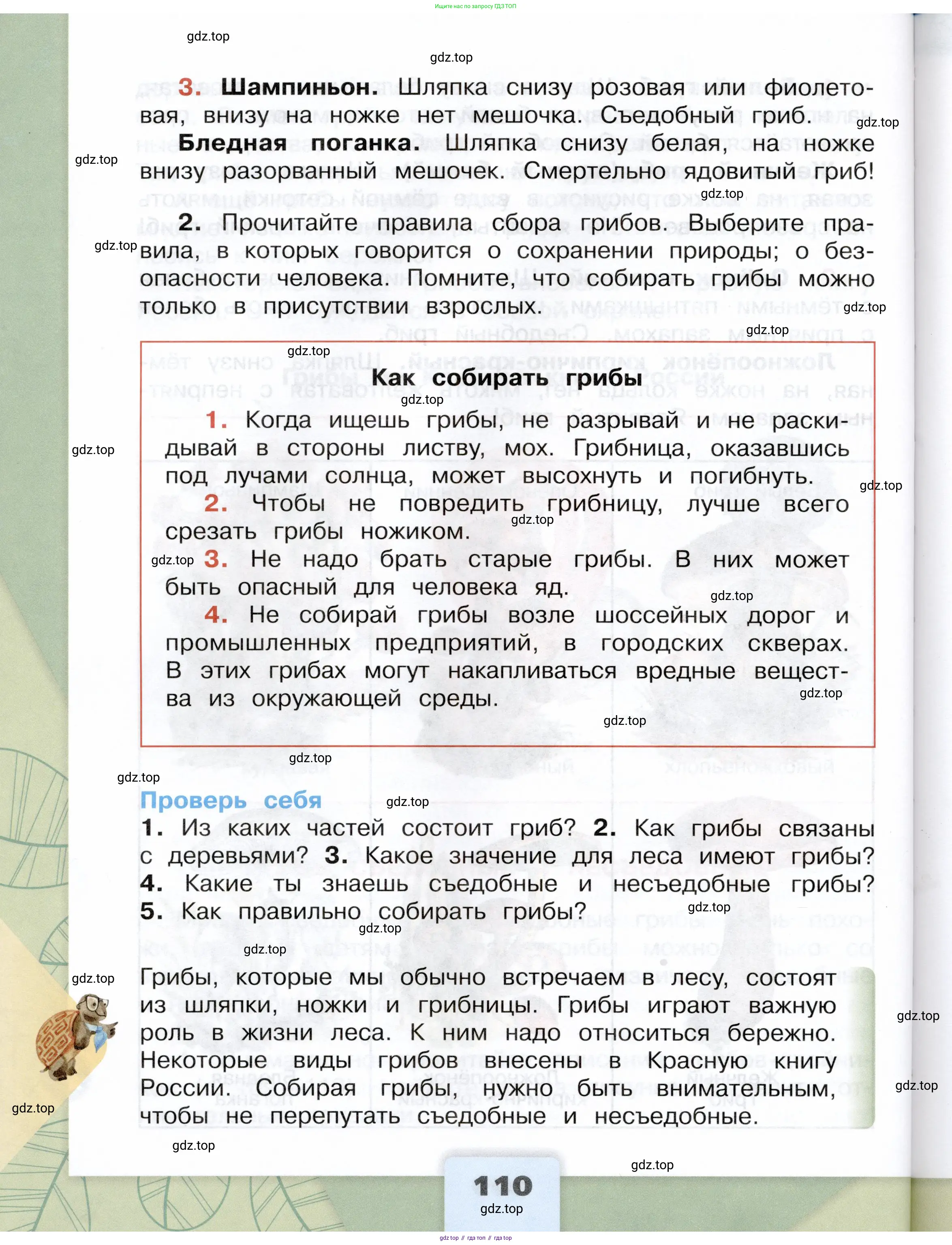 Окружающий мир, 3 класс Учебник, автор: Плешаков Андрей Анатольевич, издательство Просвещение, Москва, 2023, белого цвета, страница 110