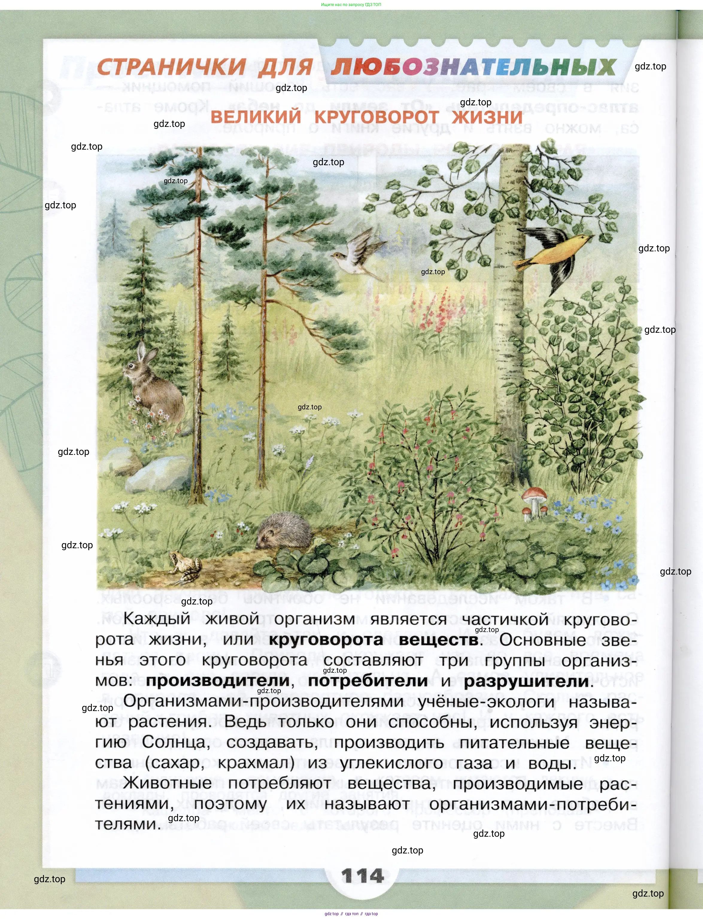 Окружающий мир, 3 класс Учебник, автор: Плешаков Андрей Анатольевич, издательство Просвещение, Москва, 2023, белого цвета, страница 114