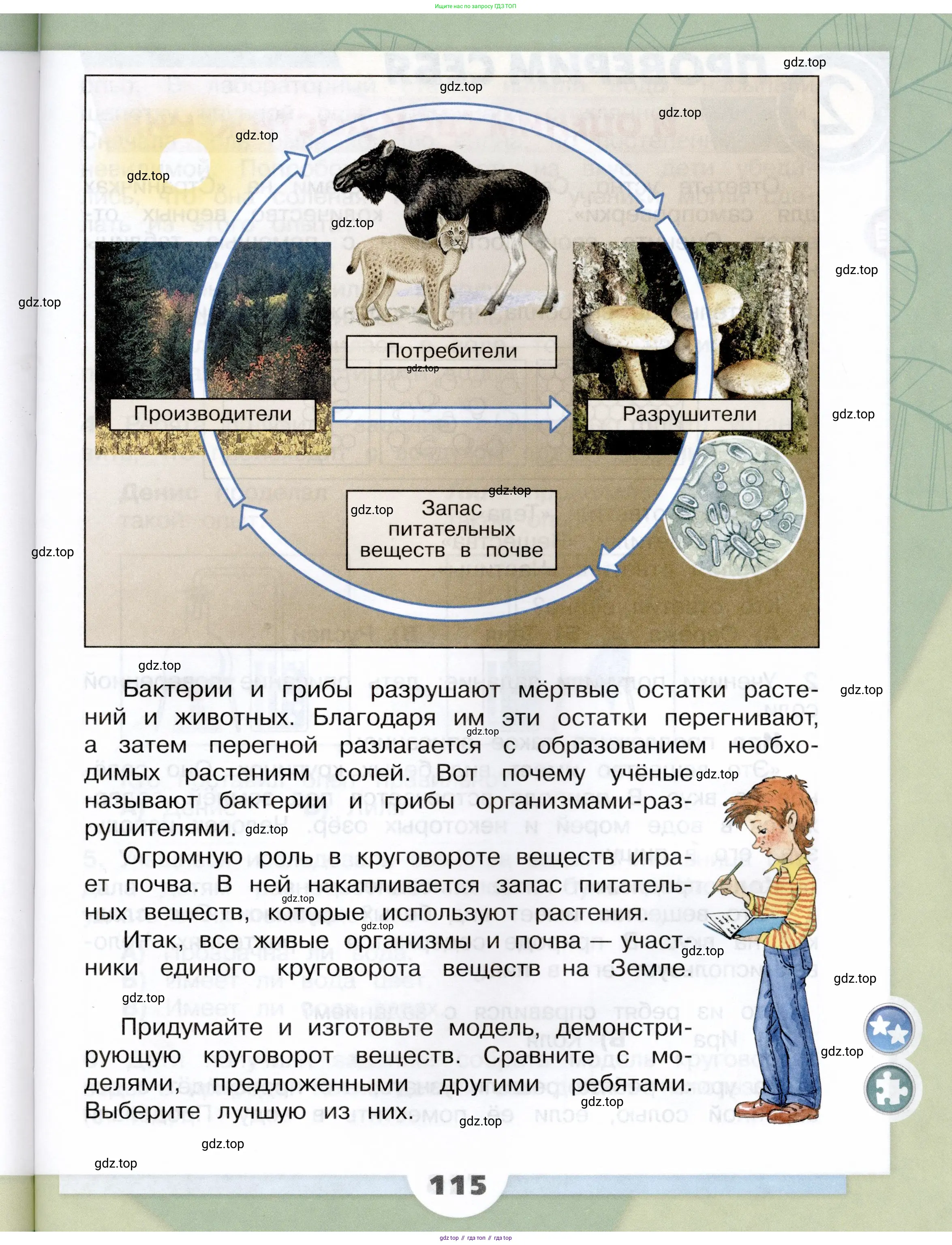 Окружающий мир, 3 класс Учебник, автор: Плешаков Андрей Анатольевич, издательство Просвещение, Москва, 2023, белого цвета, страница 115