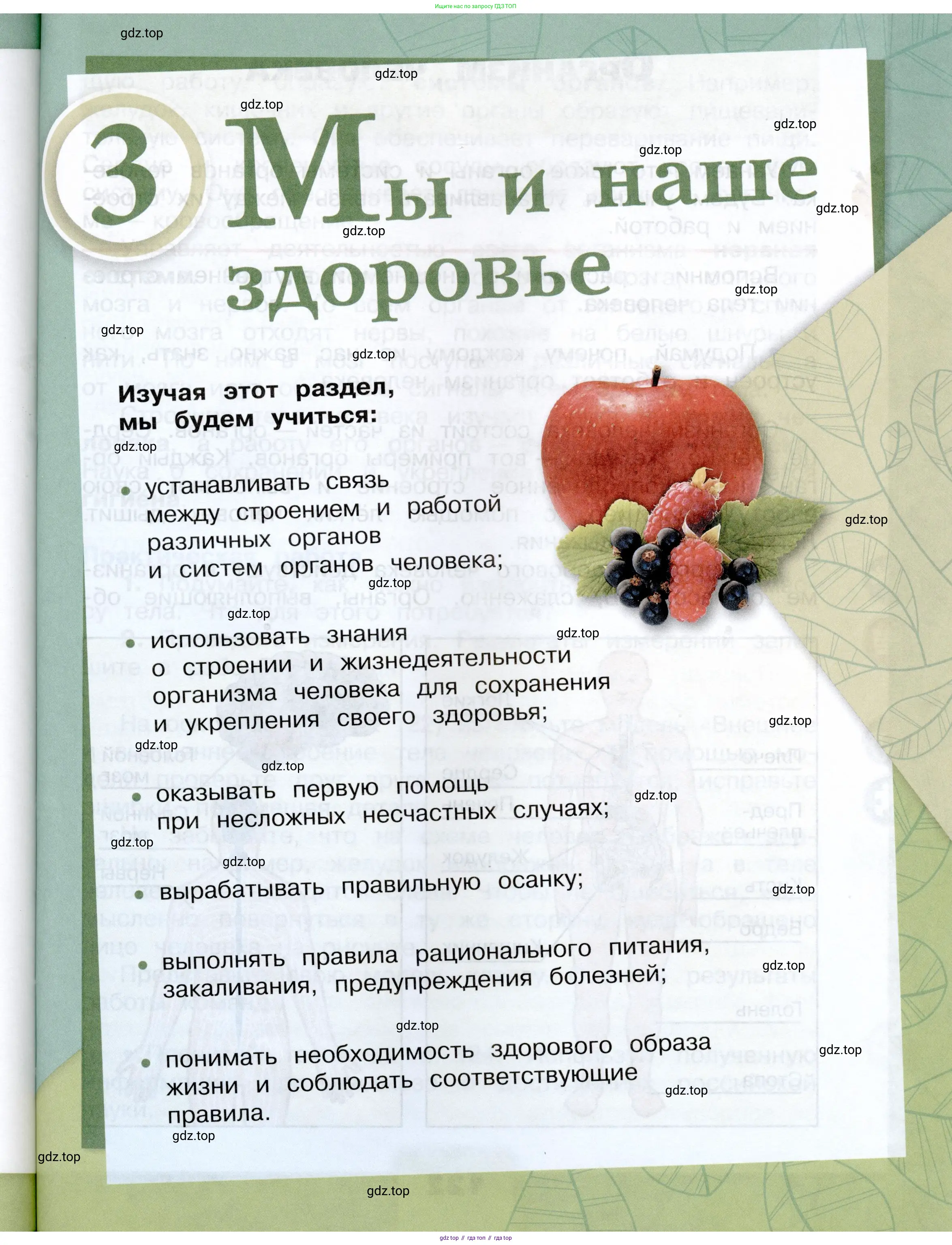 Окружающий мир, 3 класс Учебник, автор: Плешаков Андрей Анатольевич, издательство Просвещение, Москва, 2023, белого цвета, страница 121