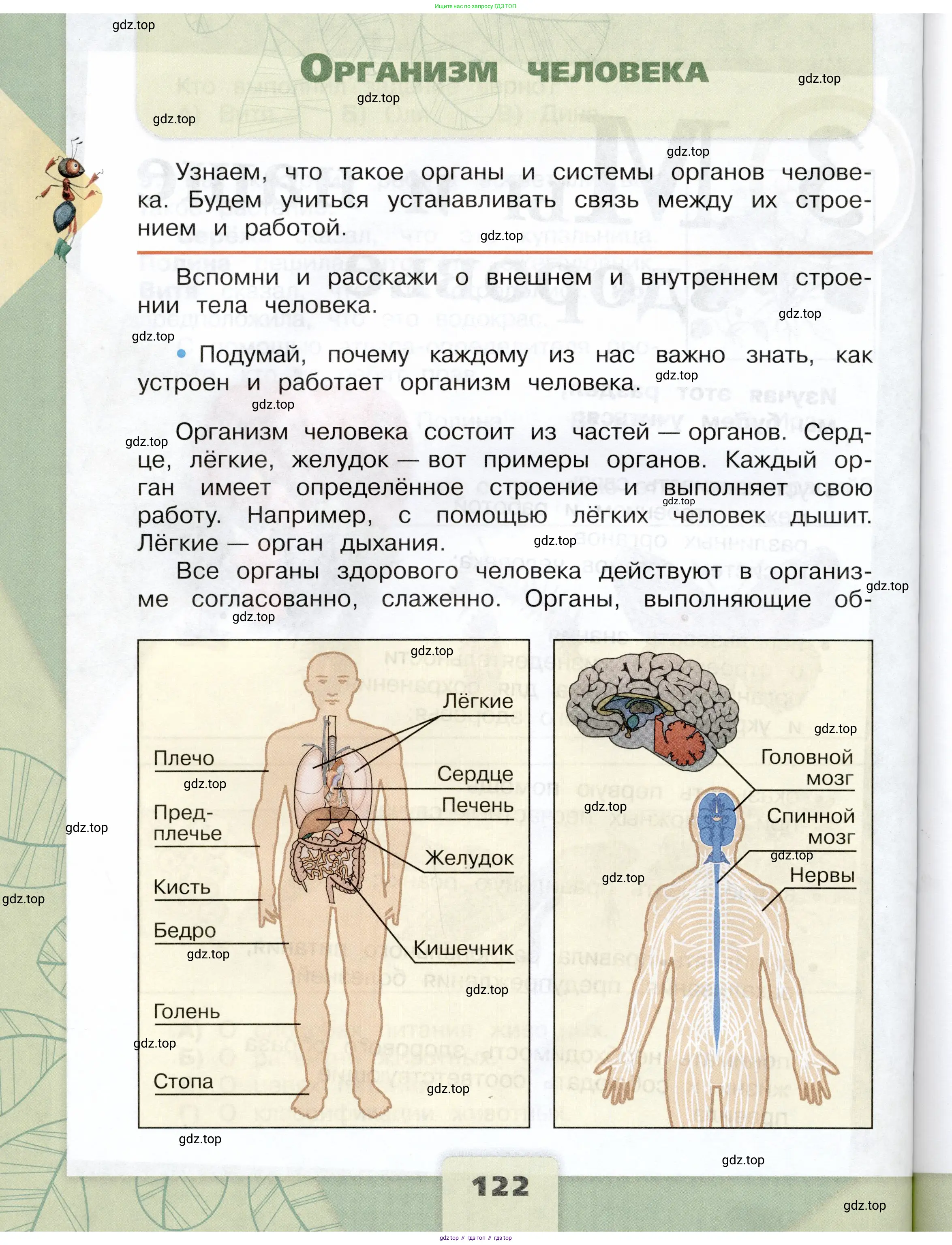 Окружающий мир, 3 класс Учебник, автор: Плешаков Андрей Анатольевич, издательство Просвещение, Москва, 2023, белого цвета, Часть 1, страница 122