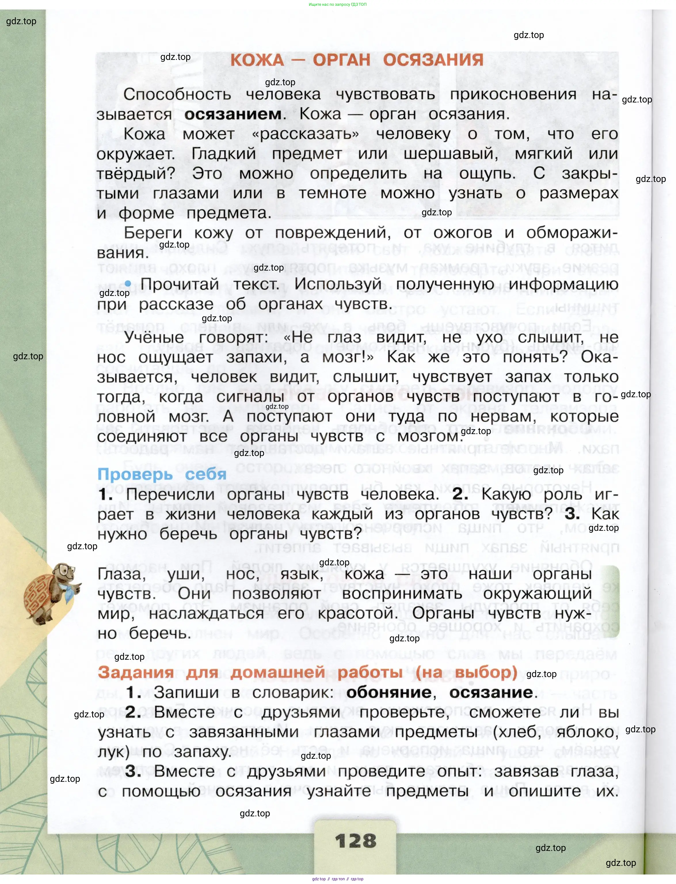 Окружающий мир, 3 класс Учебник, автор: Плешаков Андрей Анатольевич, издательство Просвещение, Москва, 2023, белого цвета, страница 128