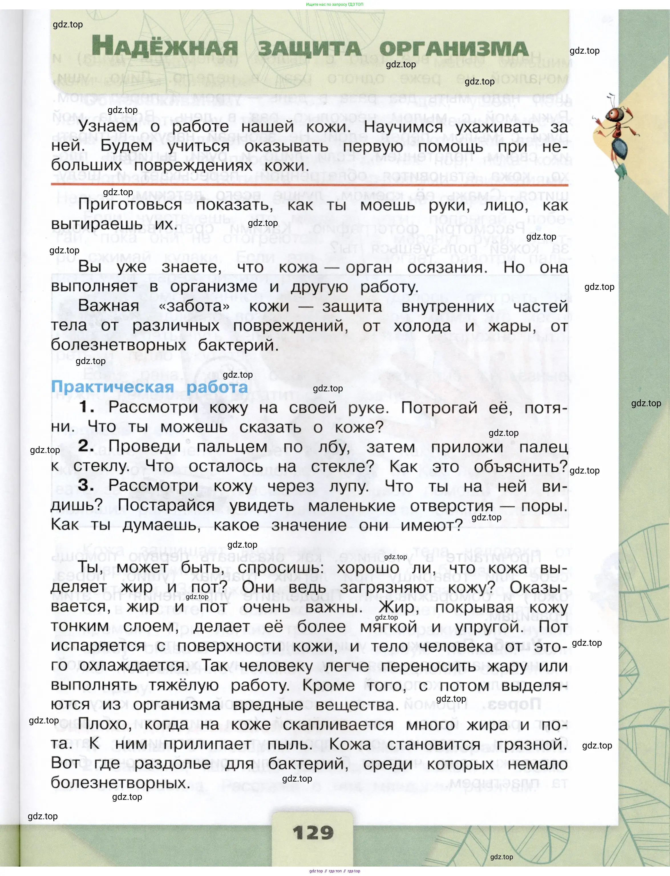 Окружающий мир, 3 класс Учебник, автор: Плешаков Андрей Анатольевич, издательство Просвещение, Москва, 2023, белого цвета, Часть 1, страница 129