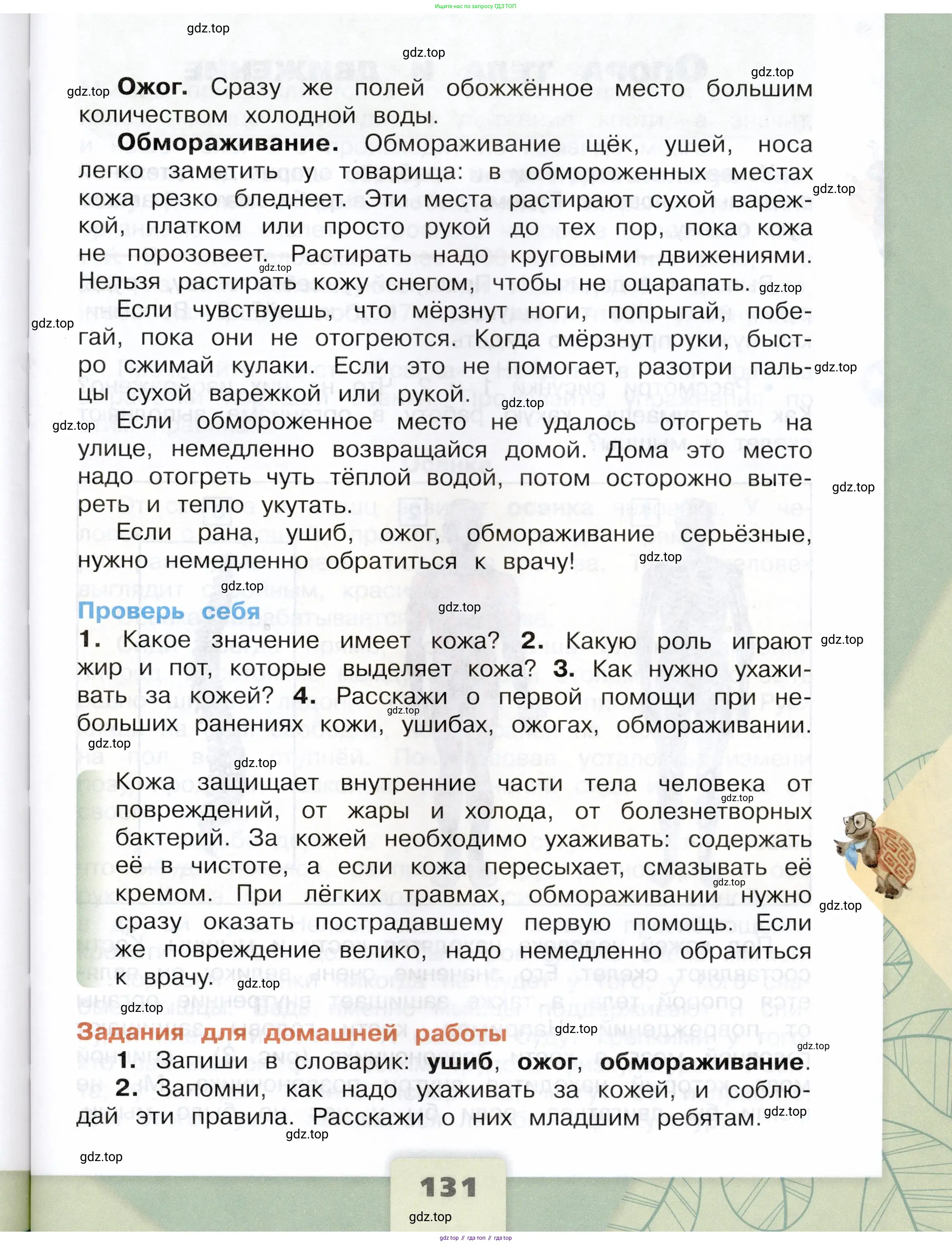 Окружающий мир, 3 класс Учебник, автор: Плешаков Андрей Анатольевич, издательство Просвещение, Москва, 2023, белого цвета, страница 131
