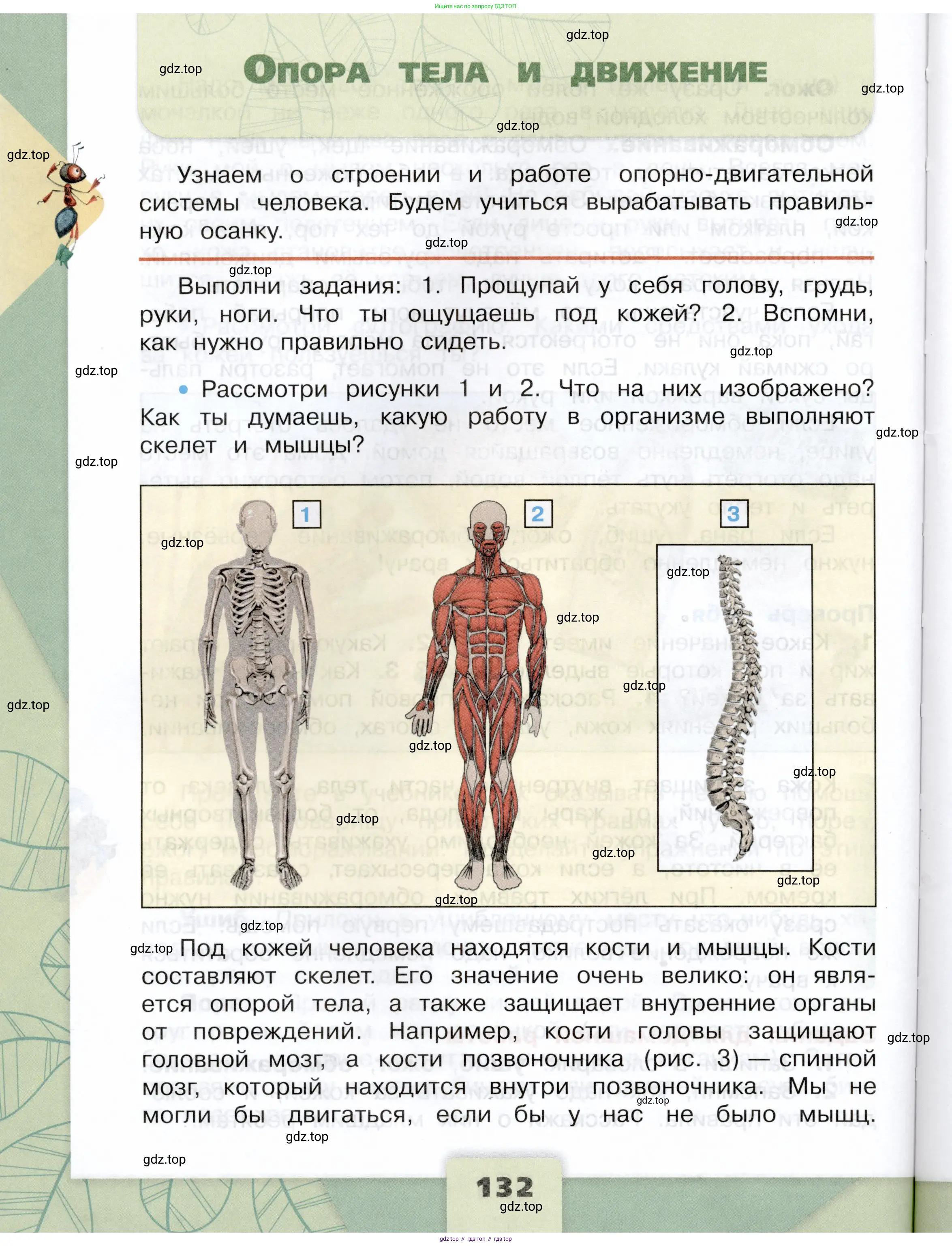 Окружающий мир, 3 класс Учебник, автор: Плешаков Андрей Анатольевич, издательство Просвещение, Москва, 2023, белого цвета, Часть 1, страница 132