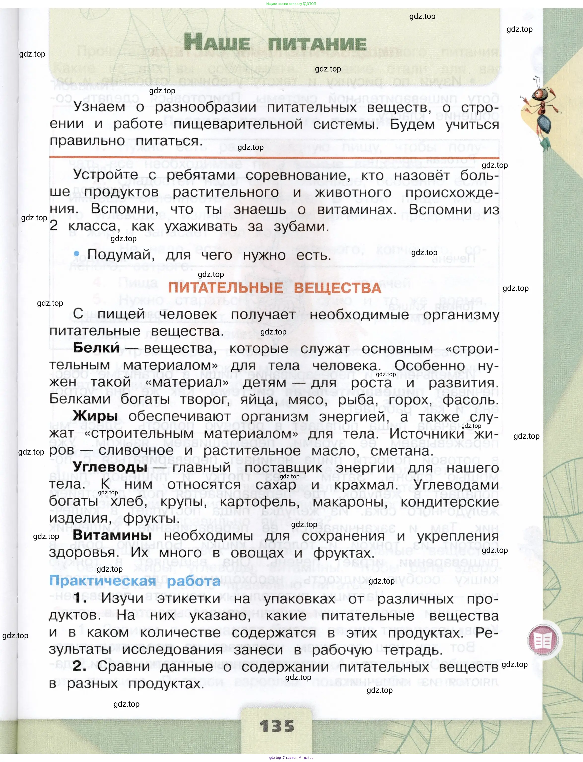 Окружающий мир, 3 класс Учебник, автор: Плешаков Андрей Анатольевич, издательство Просвещение, Москва, 2023, белого цвета, Часть 1, страница 135