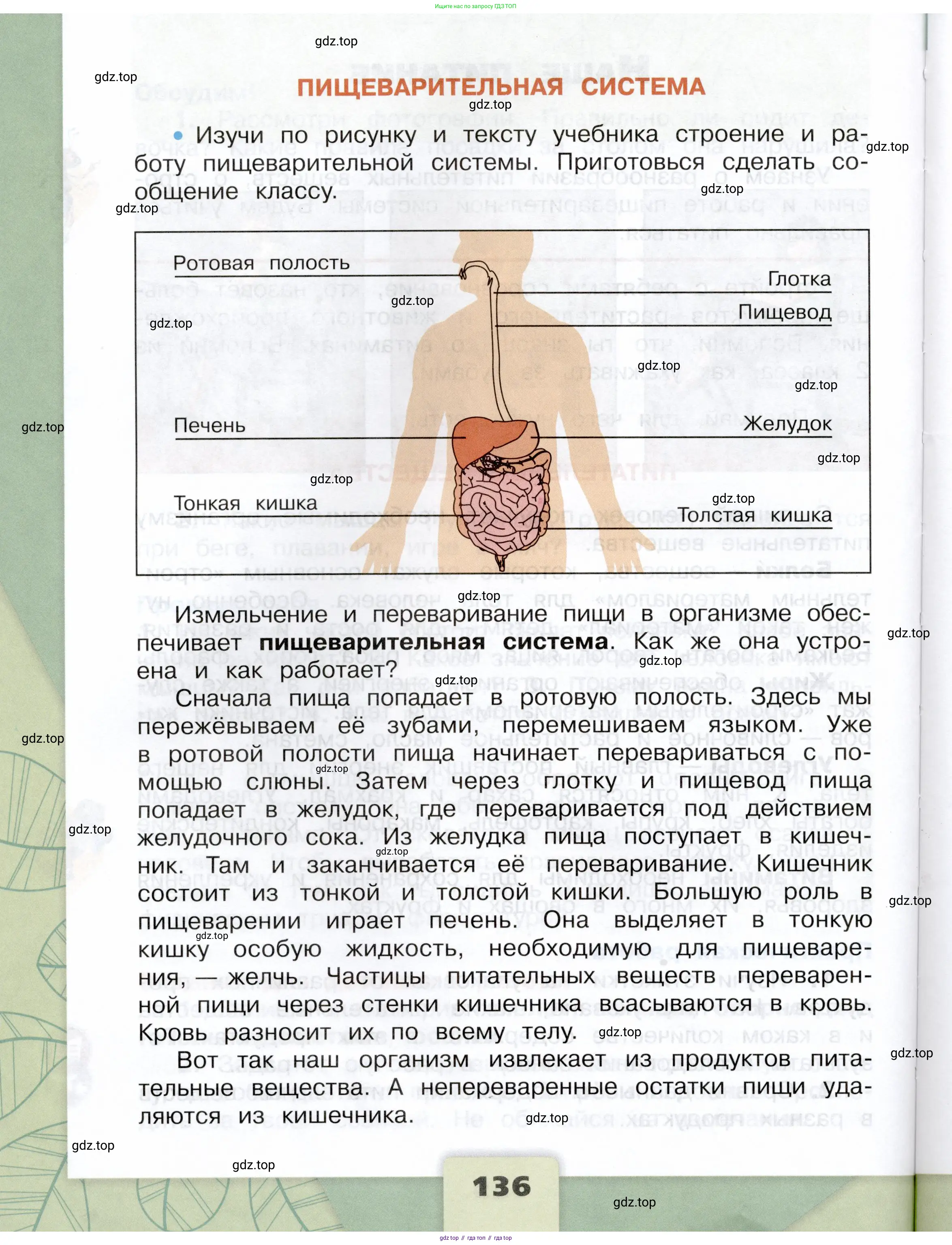 Окружающий мир, 3 класс Учебник, автор: Плешаков Андрей Анатольевич, издательство Просвещение, Москва, 2023, белого цвета, страница 136