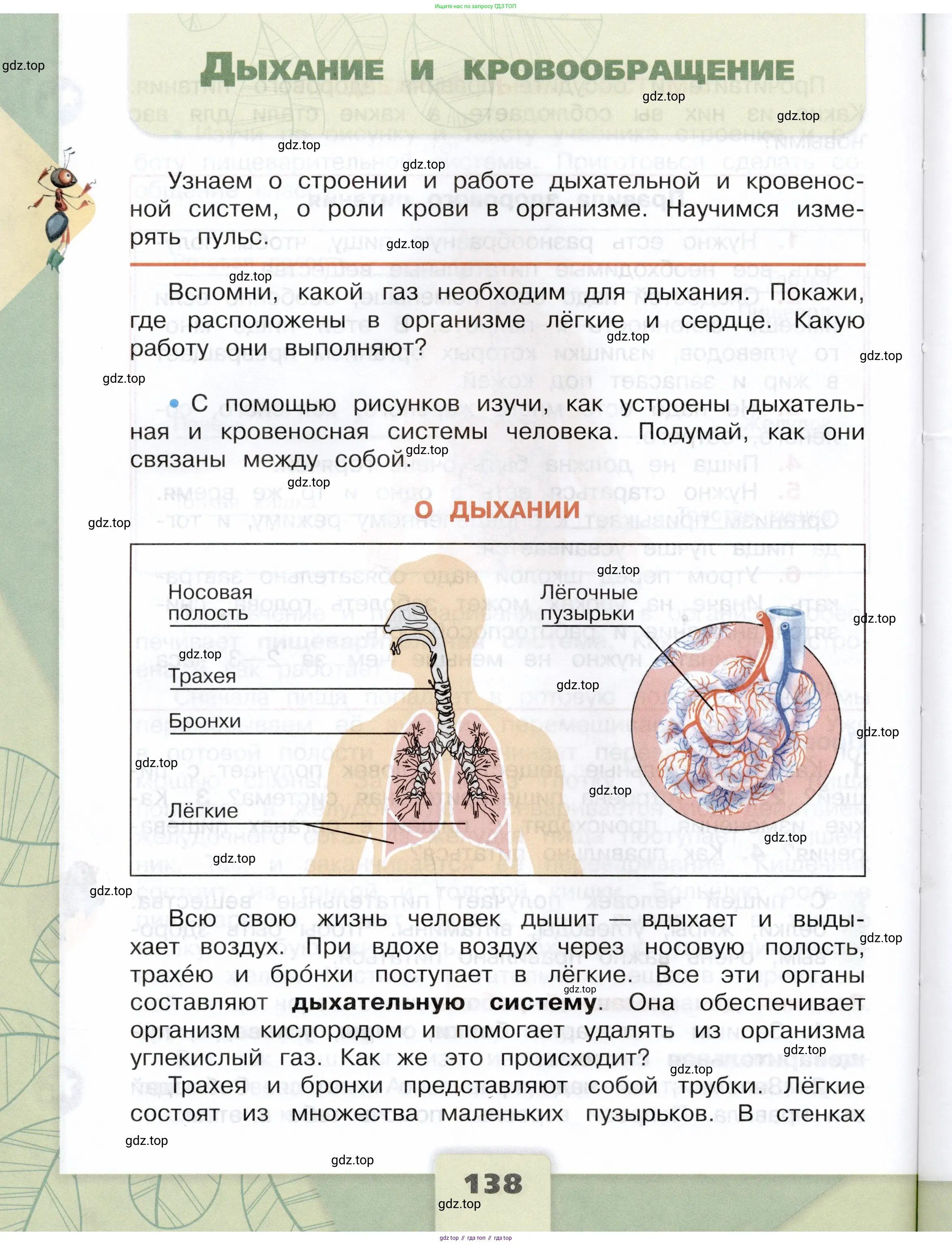 Окружающий мир, 3 класс Учебник, автор: Плешаков Андрей Анатольевич, издательство Просвещение, Москва, 2023, белого цвета, Часть 1, страница 138