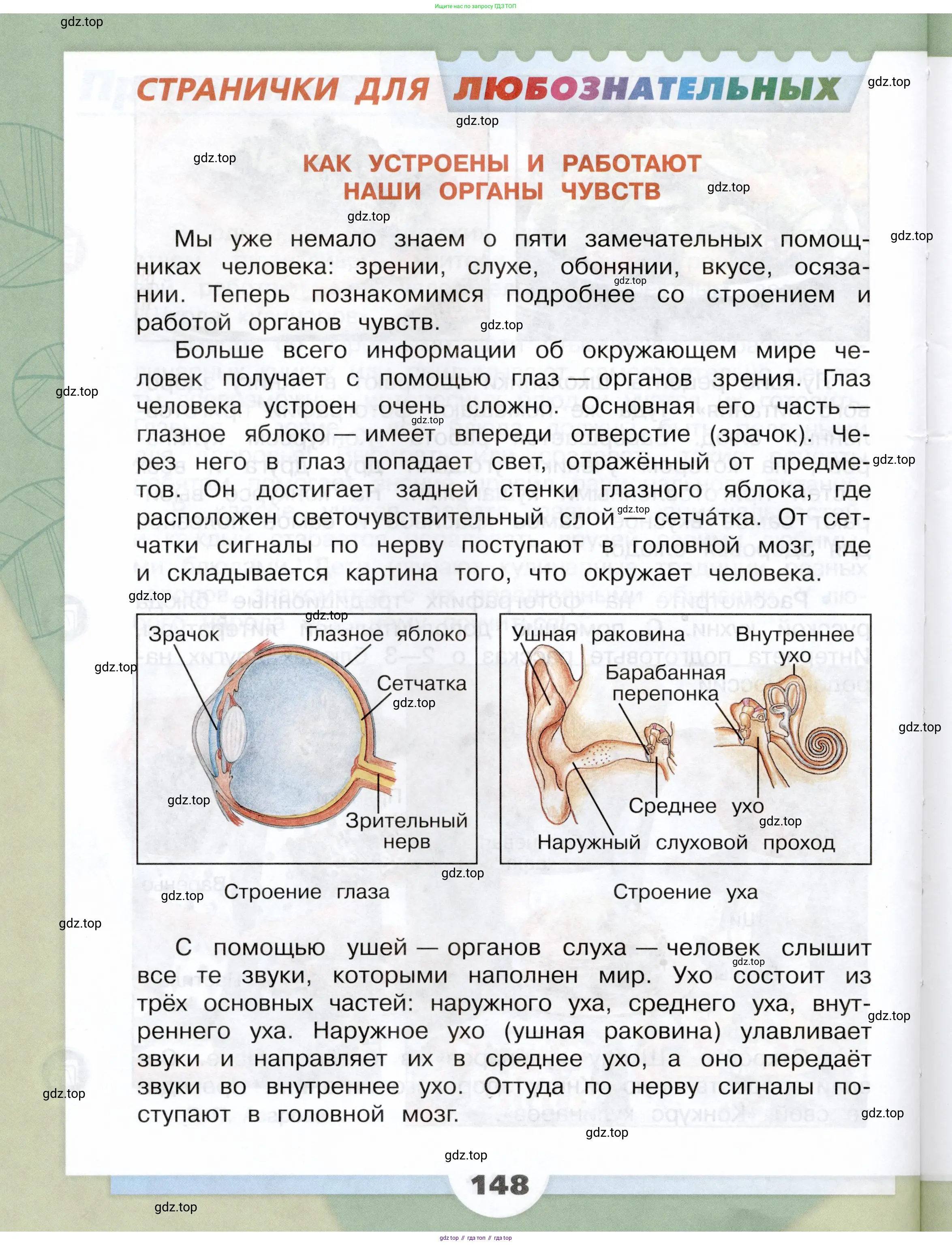 Окружающий мир, 3 класс Учебник, автор: Плешаков Андрей Анатольевич, издательство Просвещение, Москва, 2023, белого цвета, страница 148