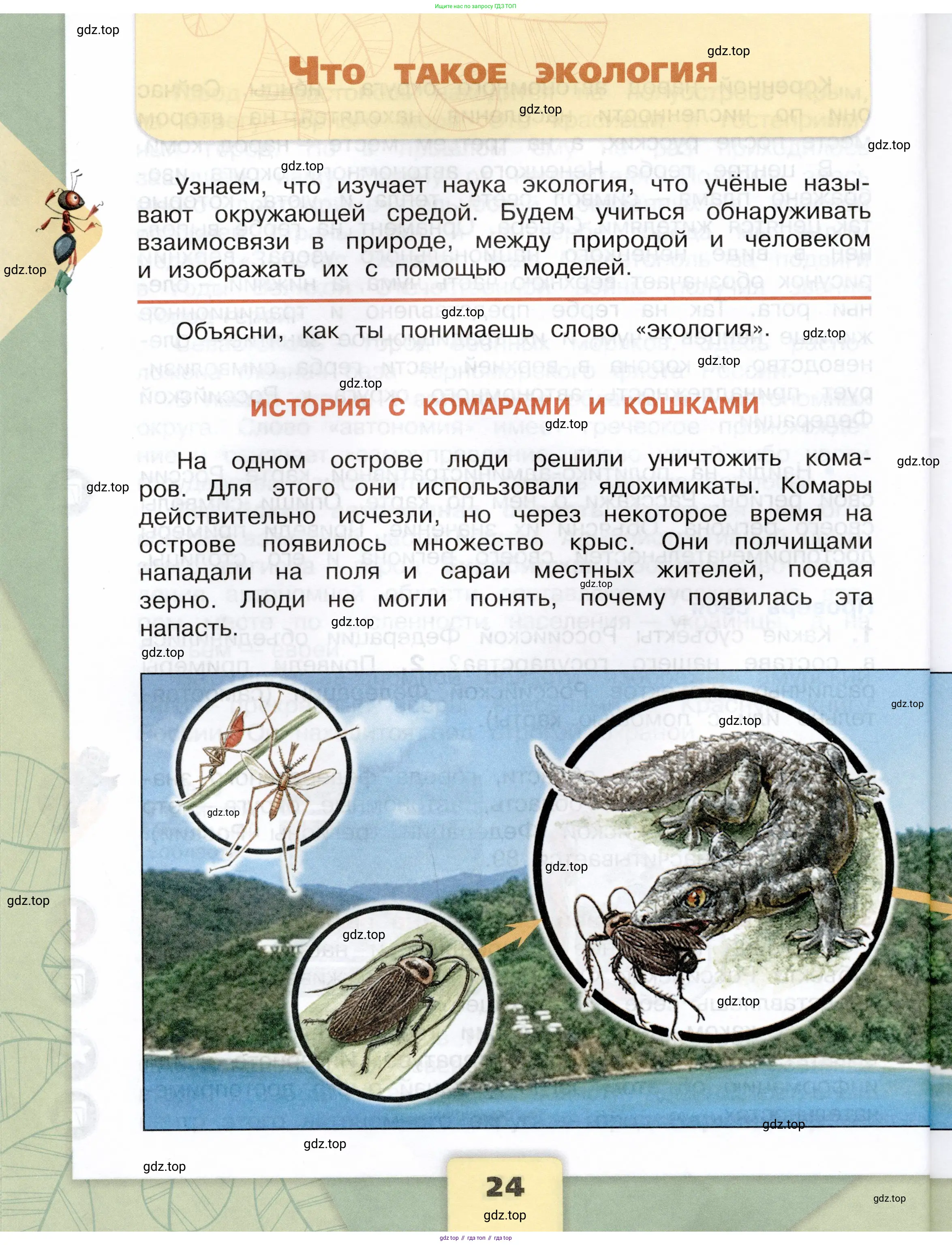 Окружающий мир, 3 класс Учебник, автор: Плешаков Андрей Анатольевич, издательство Просвещение, Москва, 2023, белого цвета, Часть 1, страница 24