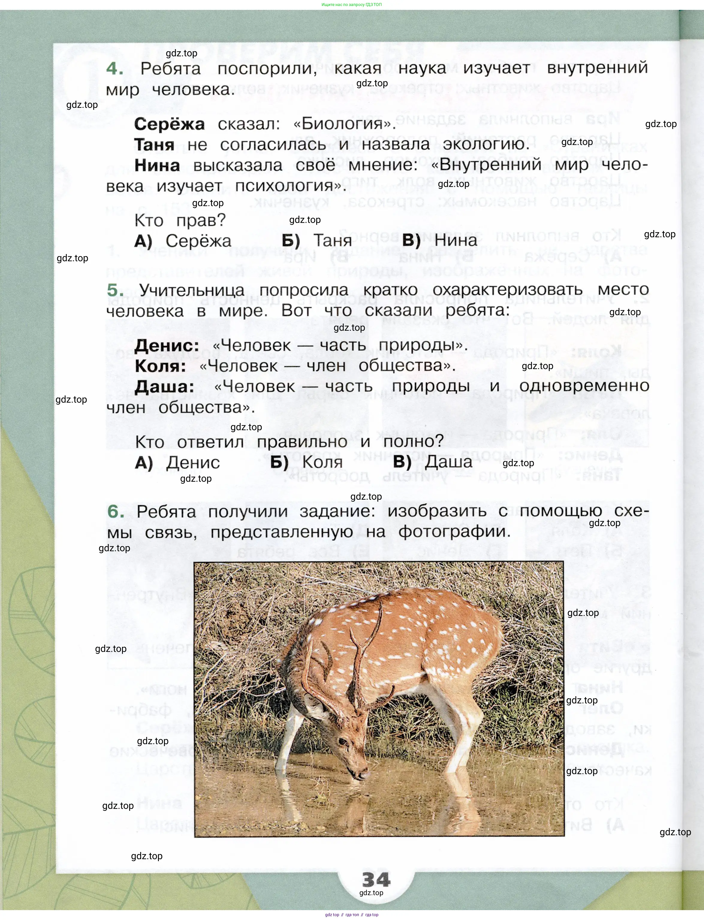 Окружающий мир, 3 класс Учебник, автор: Плешаков Андрей Анатольевич, издательство Просвещение, Москва, 2023, белого цвета, Часть 2, страница 34