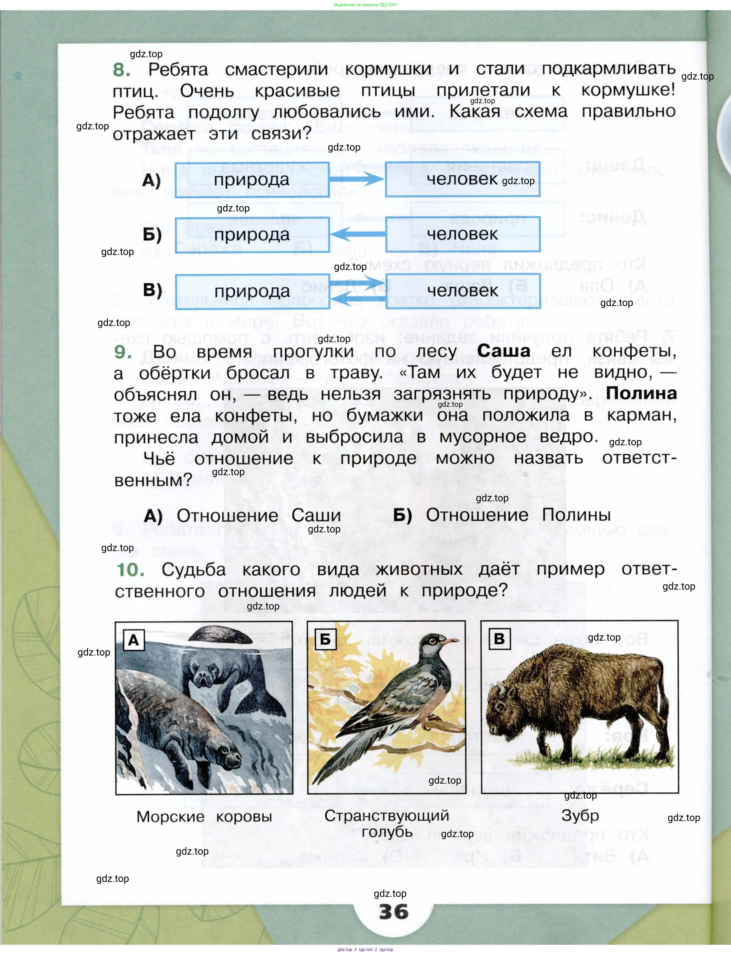 Окружающий мир, 3 класс Учебник, автор: Плешаков Андрей Анатольевич, издательство Просвещение, Москва, 2023, белого цвета, страница 36