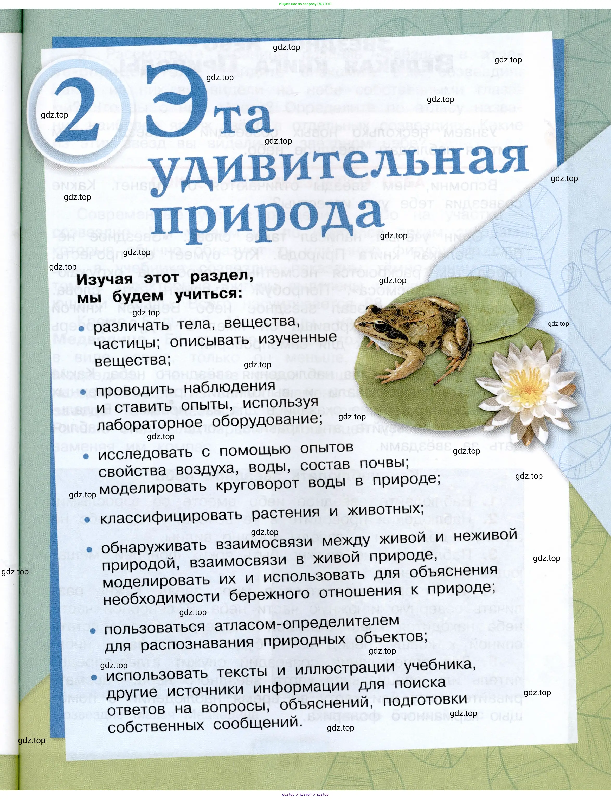 Окружающий мир, 3 класс Учебник, автор: Плешаков Андрей Анатольевич, издательство Просвещение, Москва, 2023, белого цвета, страница 37