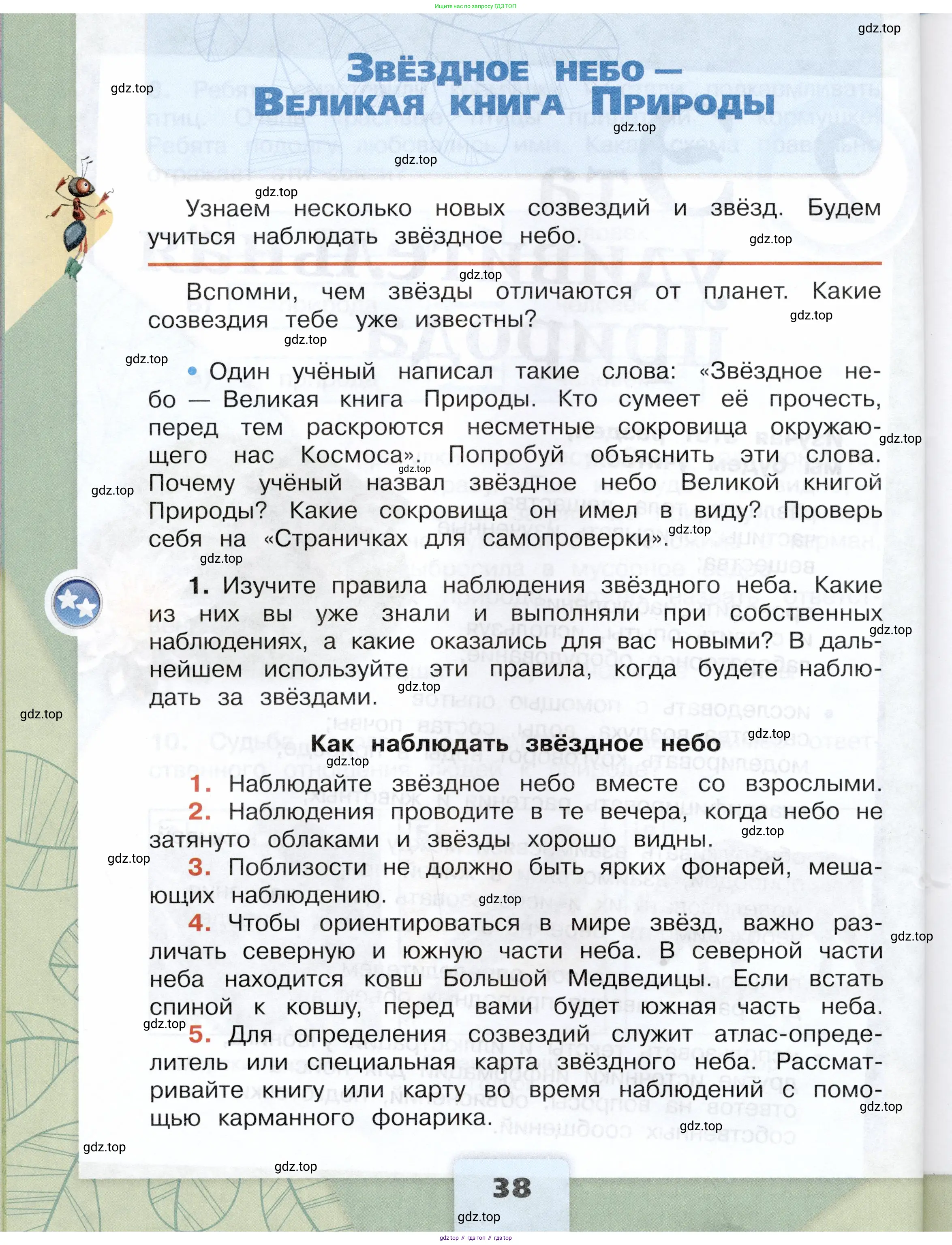Окружающий мир, 3 класс Учебник, автор: Плешаков Андрей Анатольевич, издательство Просвещение, Москва, 2023, белого цвета, Часть 1, страница 38