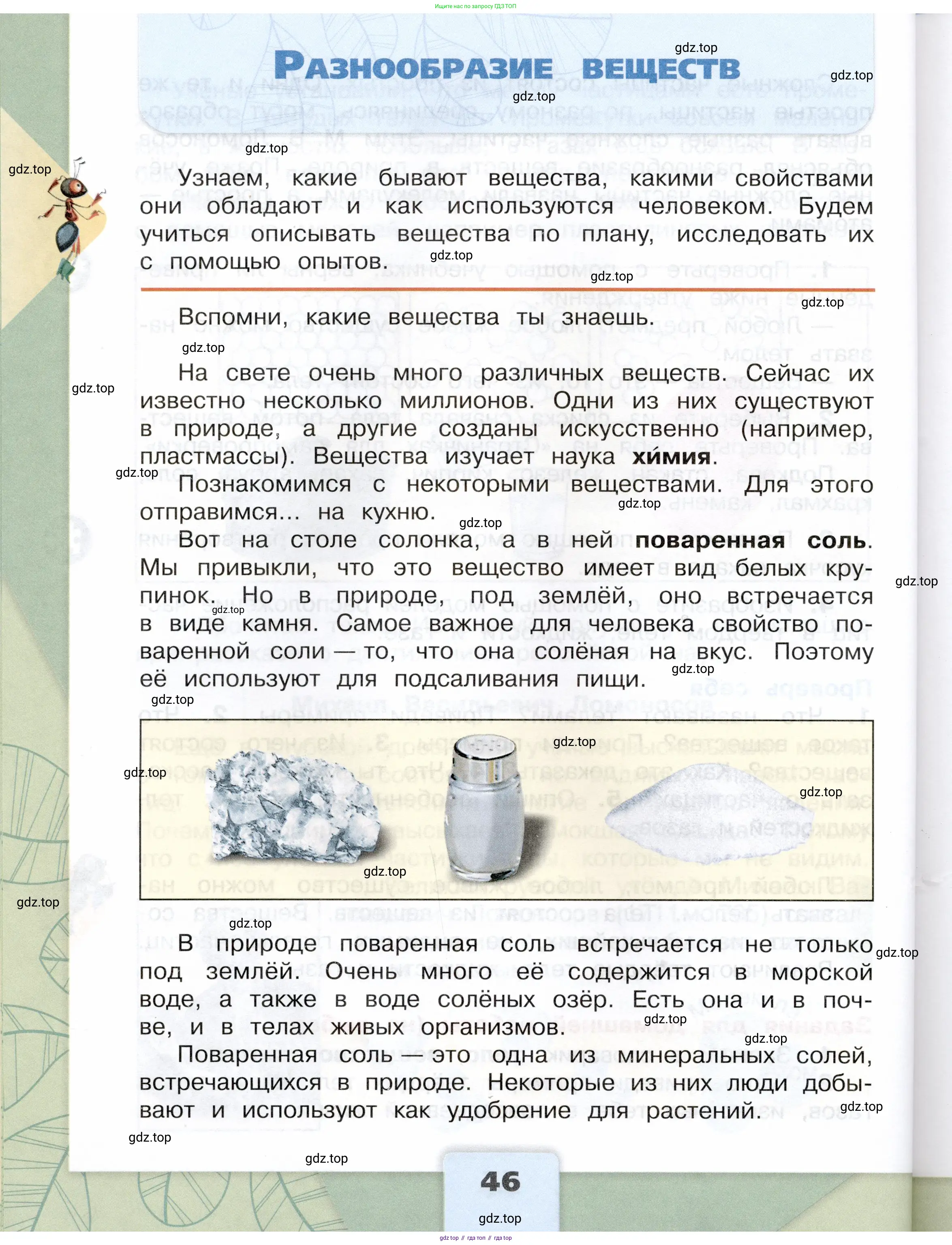 Окружающий мир, 3 класс Учебник, автор: Плешаков Андрей Анатольевич, издательство Просвещение, Москва, 2023, белого цвета, Часть 1, страница 46