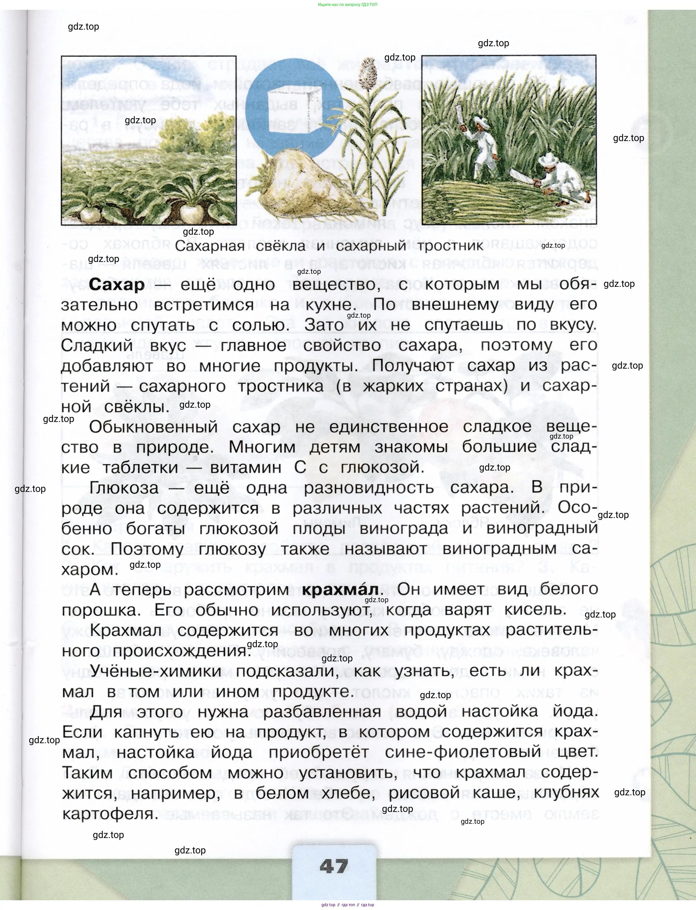 Окружающий мир, 3 класс Учебник, автор: Плешаков Андрей Анатольевич, издательство Просвещение, Москва, 2023, белого цвета, страница 47
