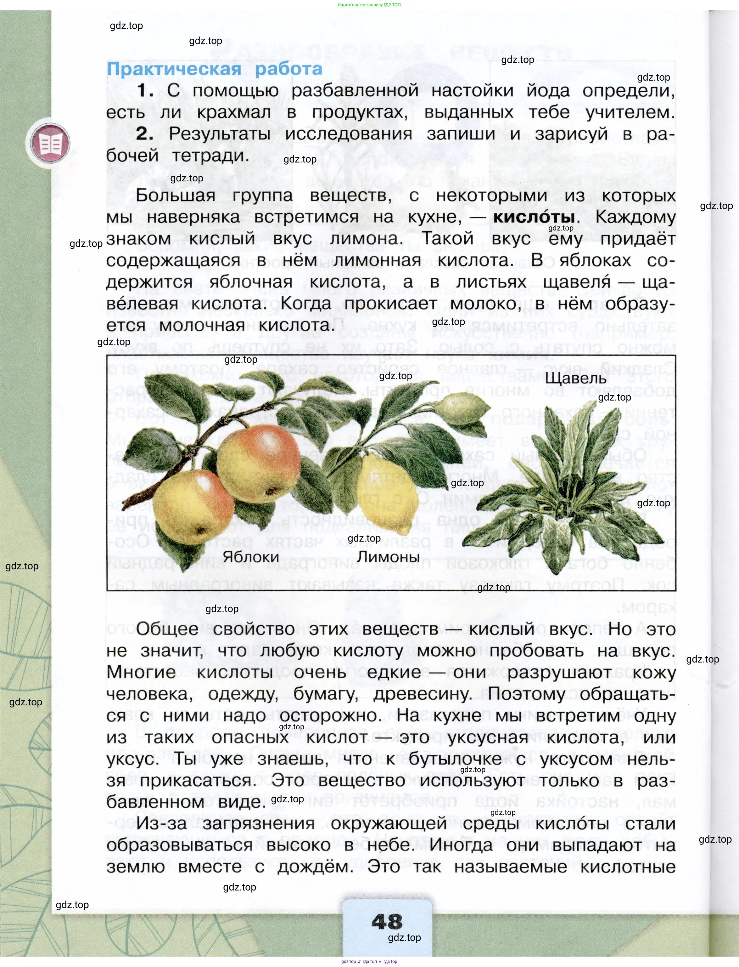 Окружающий мир, 3 класс Учебник, автор: Плешаков Андрей Анатольевич, издательство Просвещение, Москва, 2023, белого цвета, страница 48