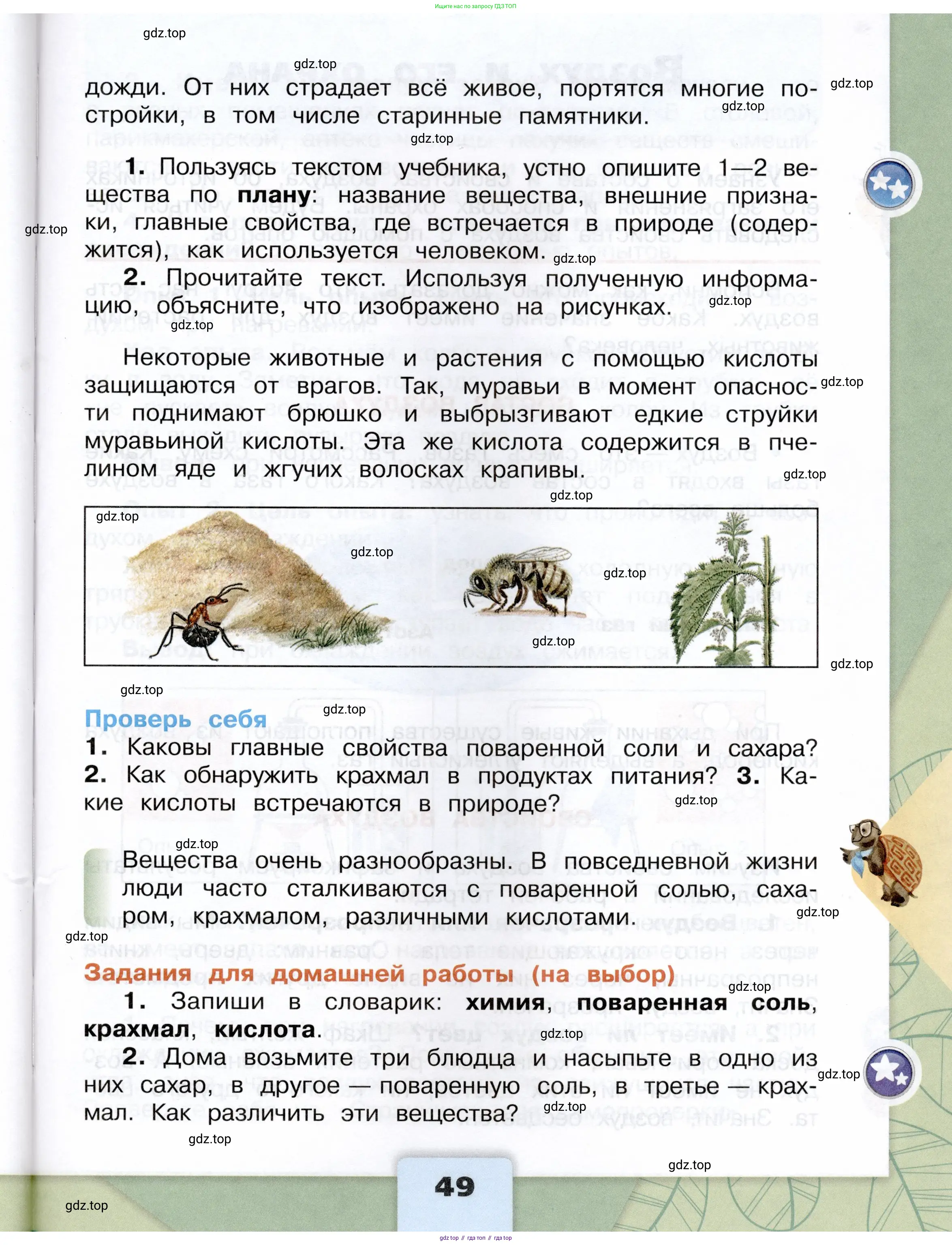Окружающий мир, 3 класс Учебник, автор: Плешаков Андрей Анатольевич, издательство Просвещение, Москва, 2023, белого цвета, страница 49