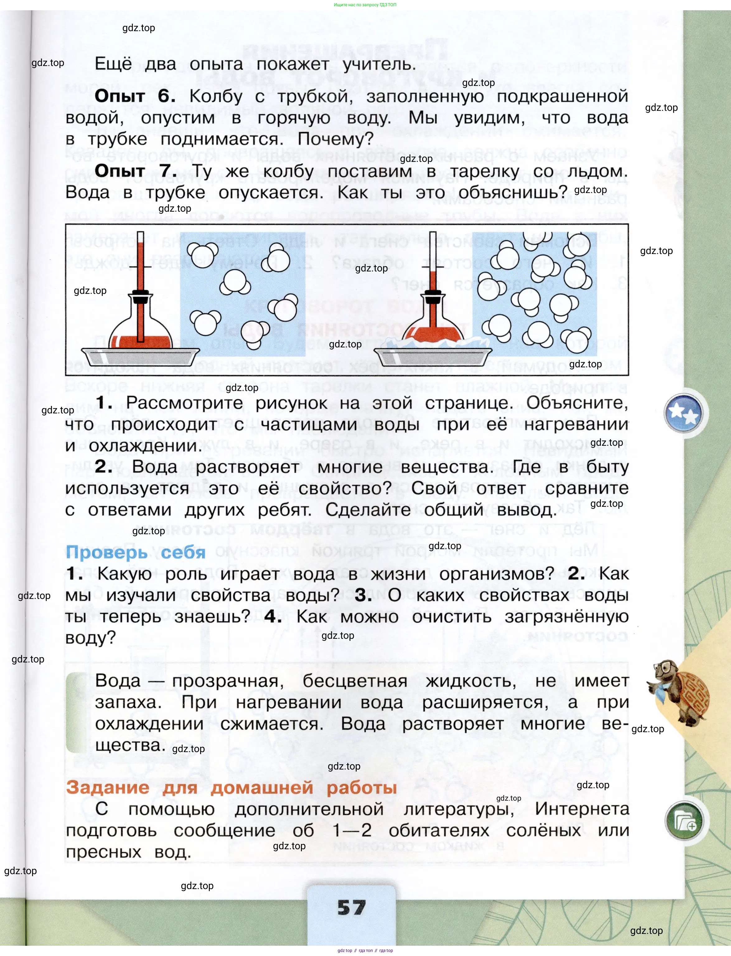 Окружающий мир, 3 класс Учебник, автор: Плешаков Андрей Анатольевич, издательство Просвещение, Москва, 2023, белого цвета, страница 57