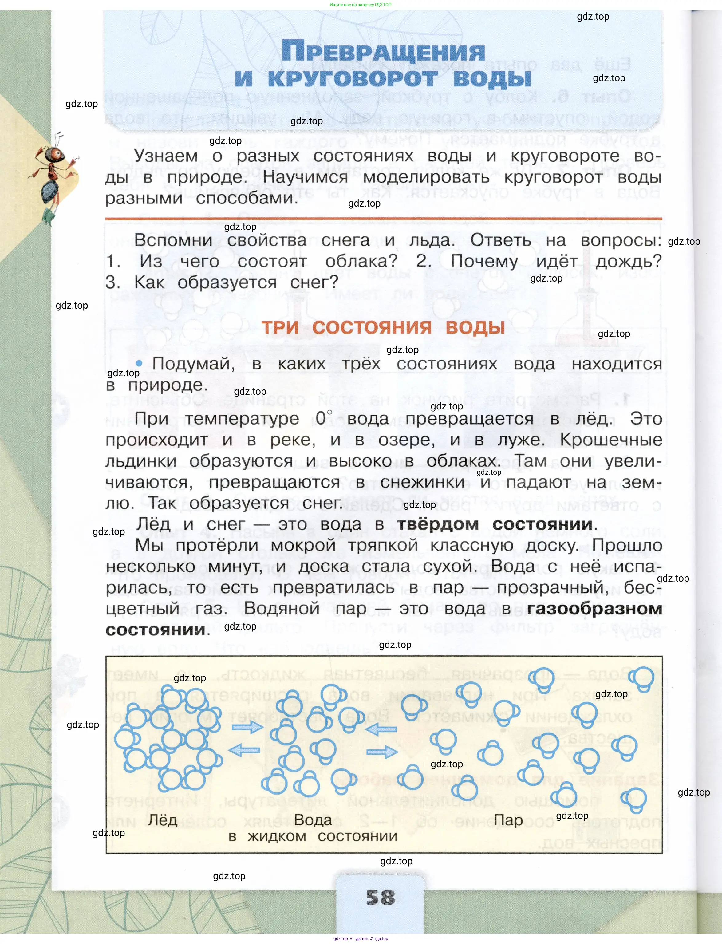 Окружающий мир, 3 класс Учебник, автор: Плешаков Андрей Анатольевич, издательство Просвещение, Москва, 2023, белого цвета, Часть 1, страница 58