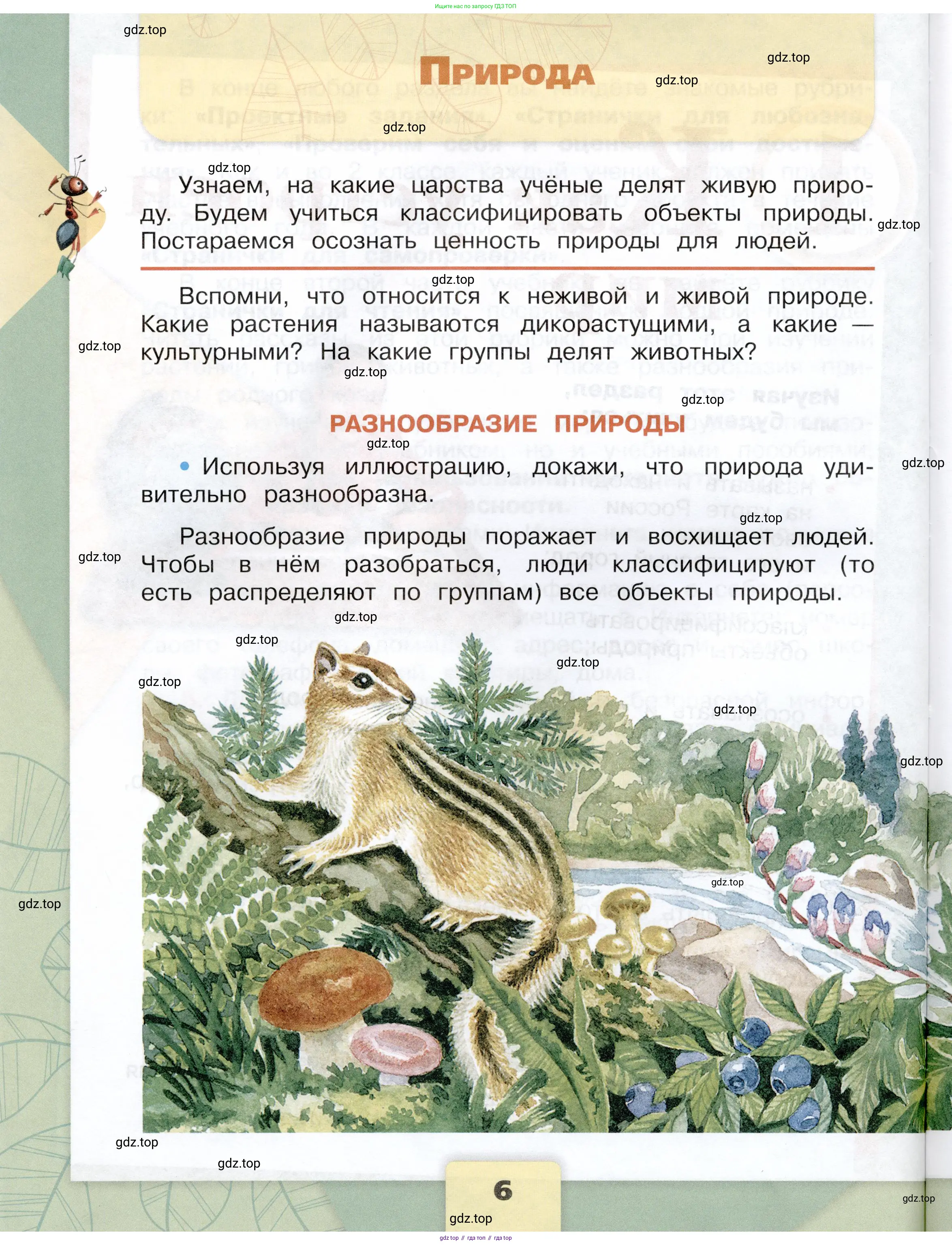 Окружающий мир, 3 класс Учебник, автор: Плешаков Андрей Анатольевич, издательство Просвещение, Москва, 2023, белого цвета, Часть 1, страница 6