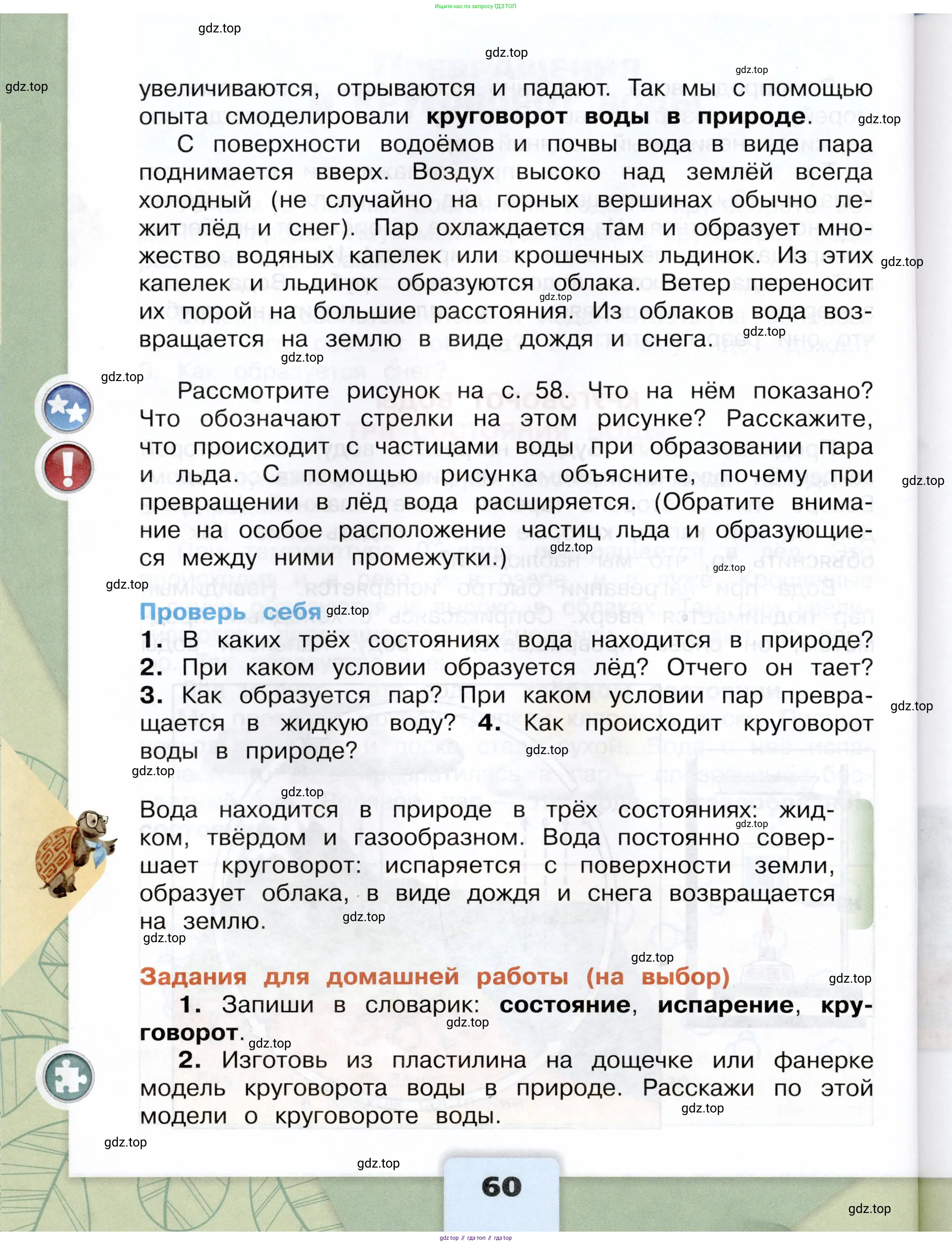 Окружающий мир, 3 класс Учебник, автор: Плешаков Андрей Анатольевич, издательство Просвещение, Москва, 2023, белого цвета, страница 60