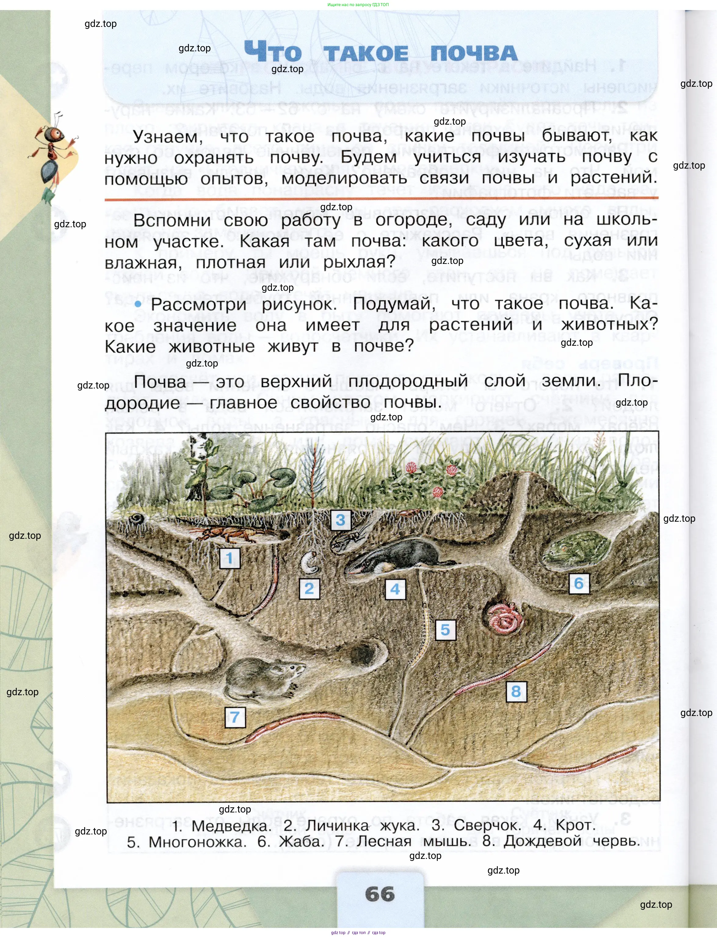 Окружающий мир, 3 класс Учебник, автор: Плешаков Андрей Анатольевич, издательство Просвещение, Москва, 2023, белого цвета, Часть 1, страница 66