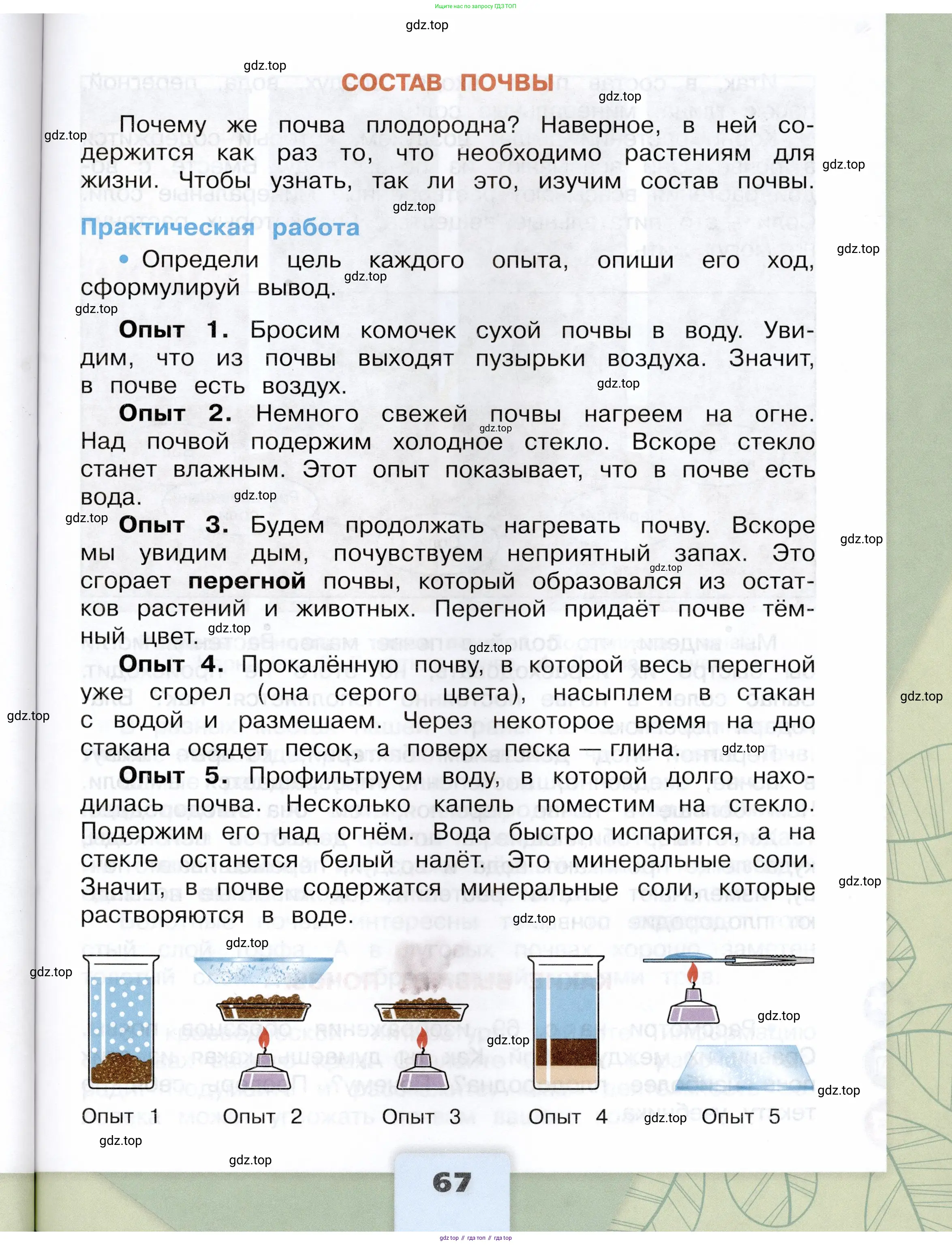 Окружающий мир, 3 класс Учебник, автор: Плешаков Андрей Анатольевич, издательство Просвещение, Москва, 2023, белого цвета, страница 67