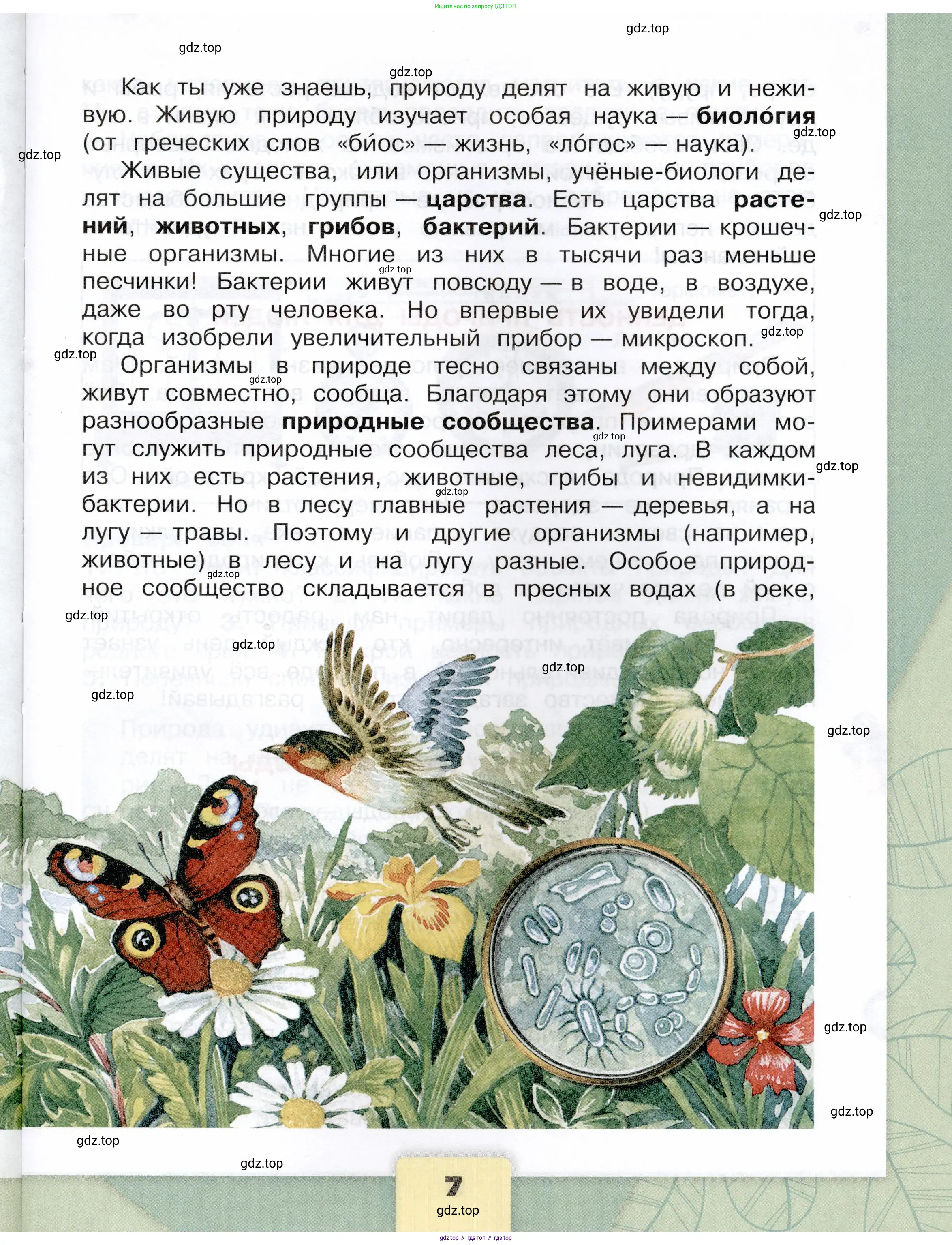 Окружающий мир, 3 класс Учебник, автор: Плешаков Андрей Анатольевич, издательство Просвещение, Москва, 2023, белого цвета, Часть 2, страница 7