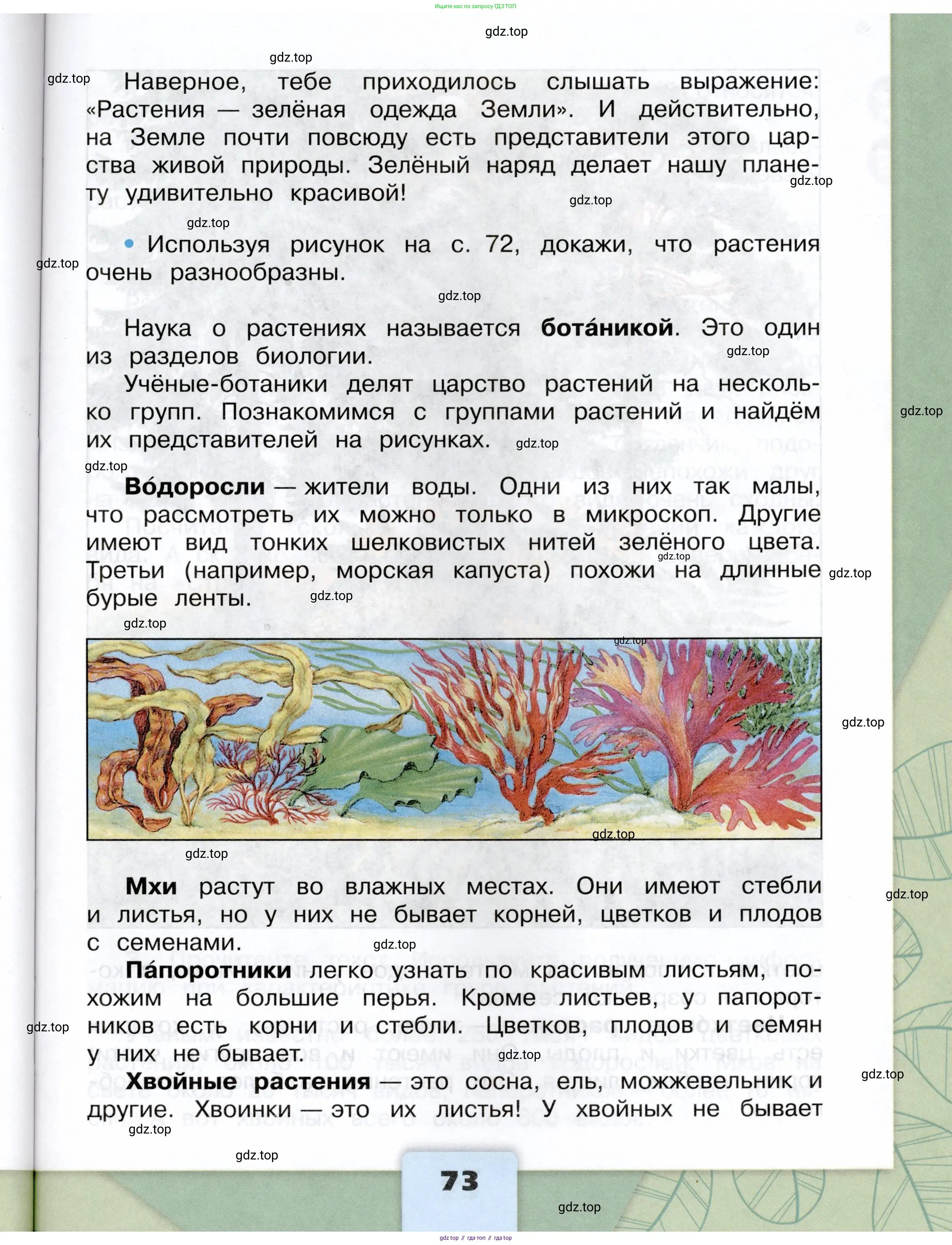 Окружающий мир, 3 класс Учебник, автор: Плешаков Андрей Анатольевич, издательство Просвещение, Москва, 2023, белого цвета, страница 73