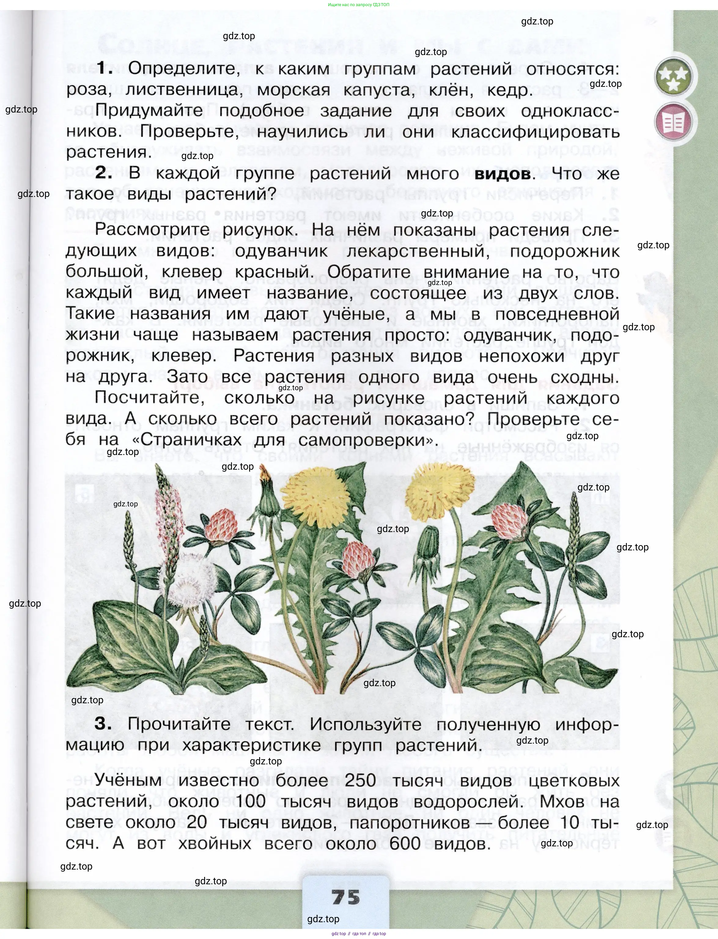 Окружающий мир, 3 класс Учебник, автор: Плешаков Андрей Анатольевич, издательство Просвещение, Москва, 2023, белого цвета, страница 75