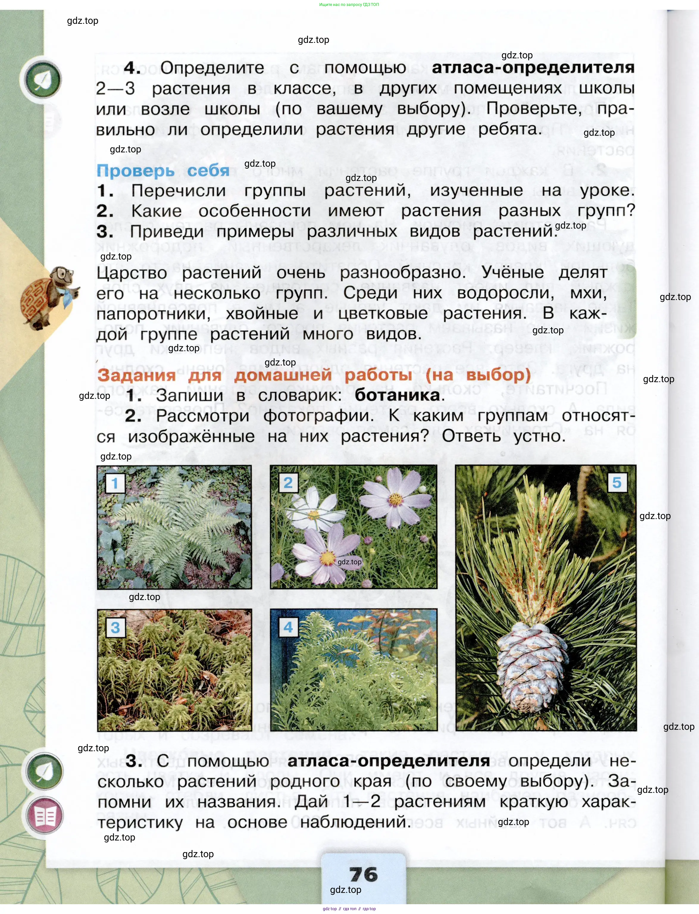 Окружающий мир, 3 класс Учебник, автор: Плешаков Андрей Анатольевич, издательство Просвещение, Москва, 2023, белого цвета, Часть 2, страница 76