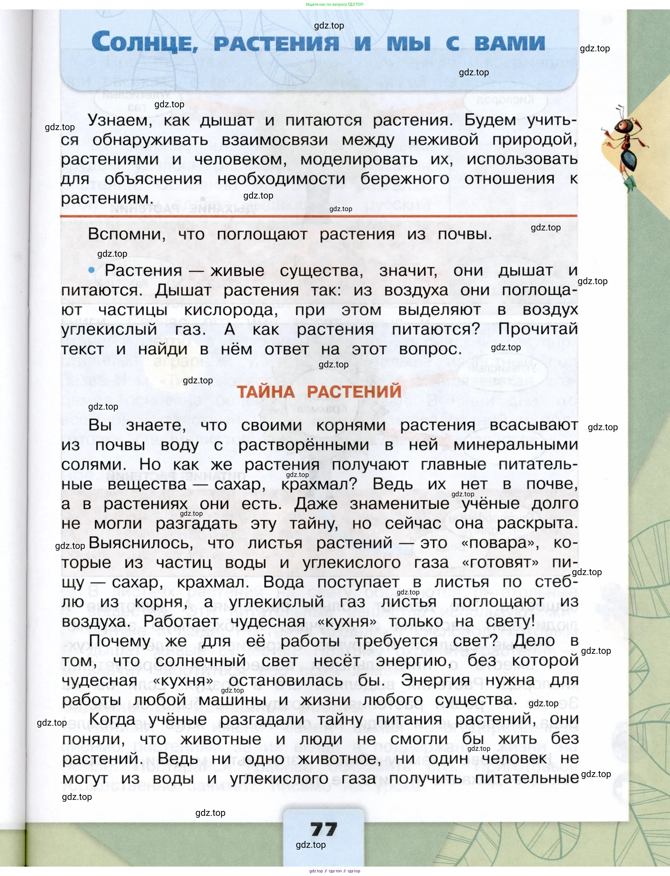 Окружающий мир, 3 класс Учебник, автор: Плешаков Андрей Анатольевич, издательство Просвещение, Москва, 2023, белого цвета, Часть 1, страница 77