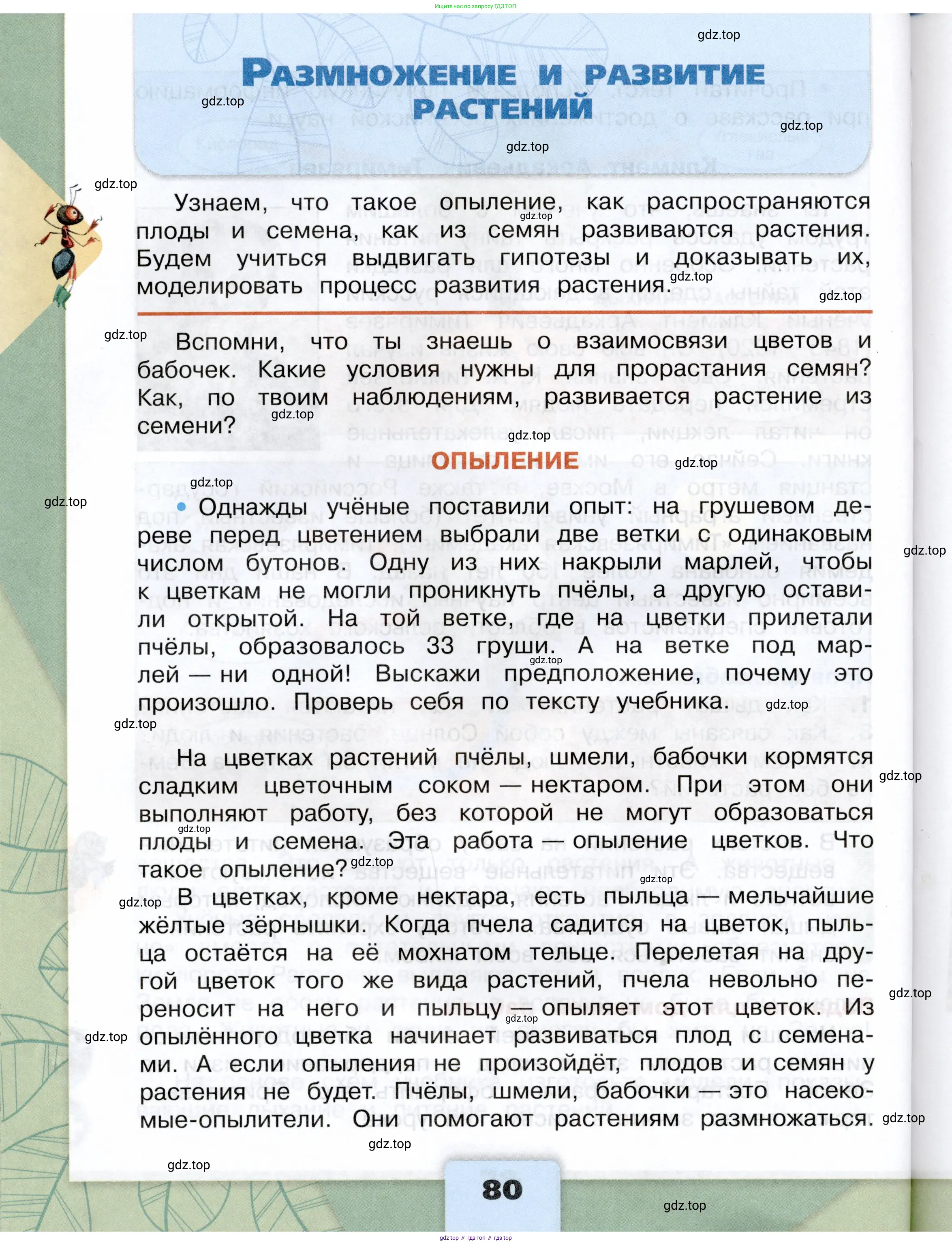 Окружающий мир, 3 класс Учебник, автор: Плешаков Андрей Анатольевич, издательство Просвещение, Москва, 2023, белого цвета, Часть 1, страница 80