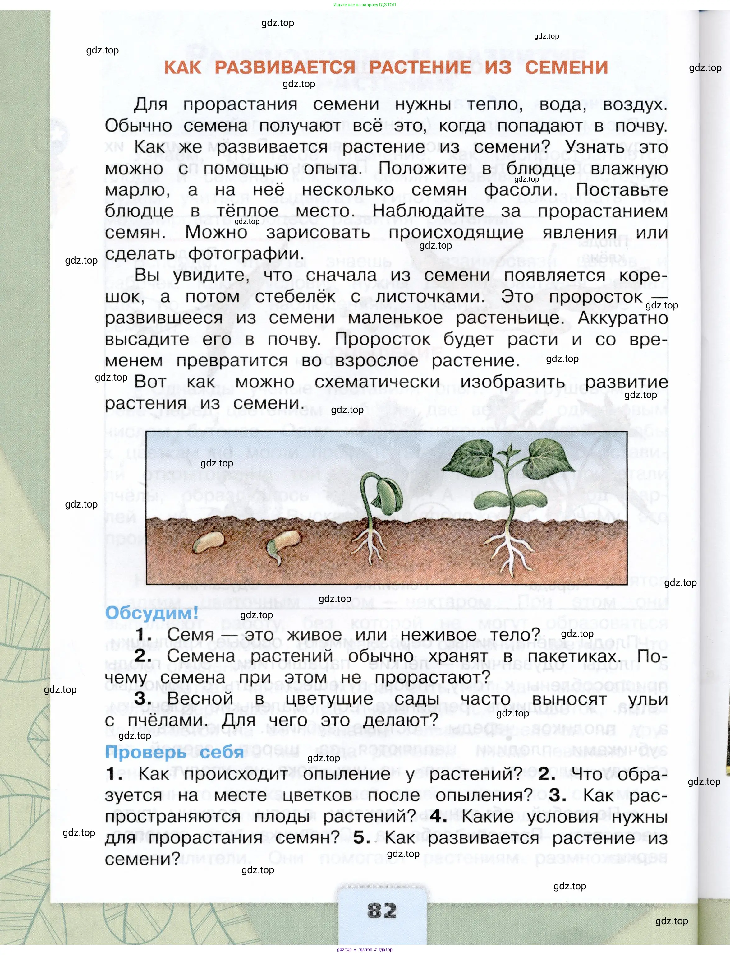 Окружающий мир, 3 класс Учебник, автор: Плешаков Андрей Анатольевич, издательство Просвещение, Москва, 2023, белого цвета, страница 82