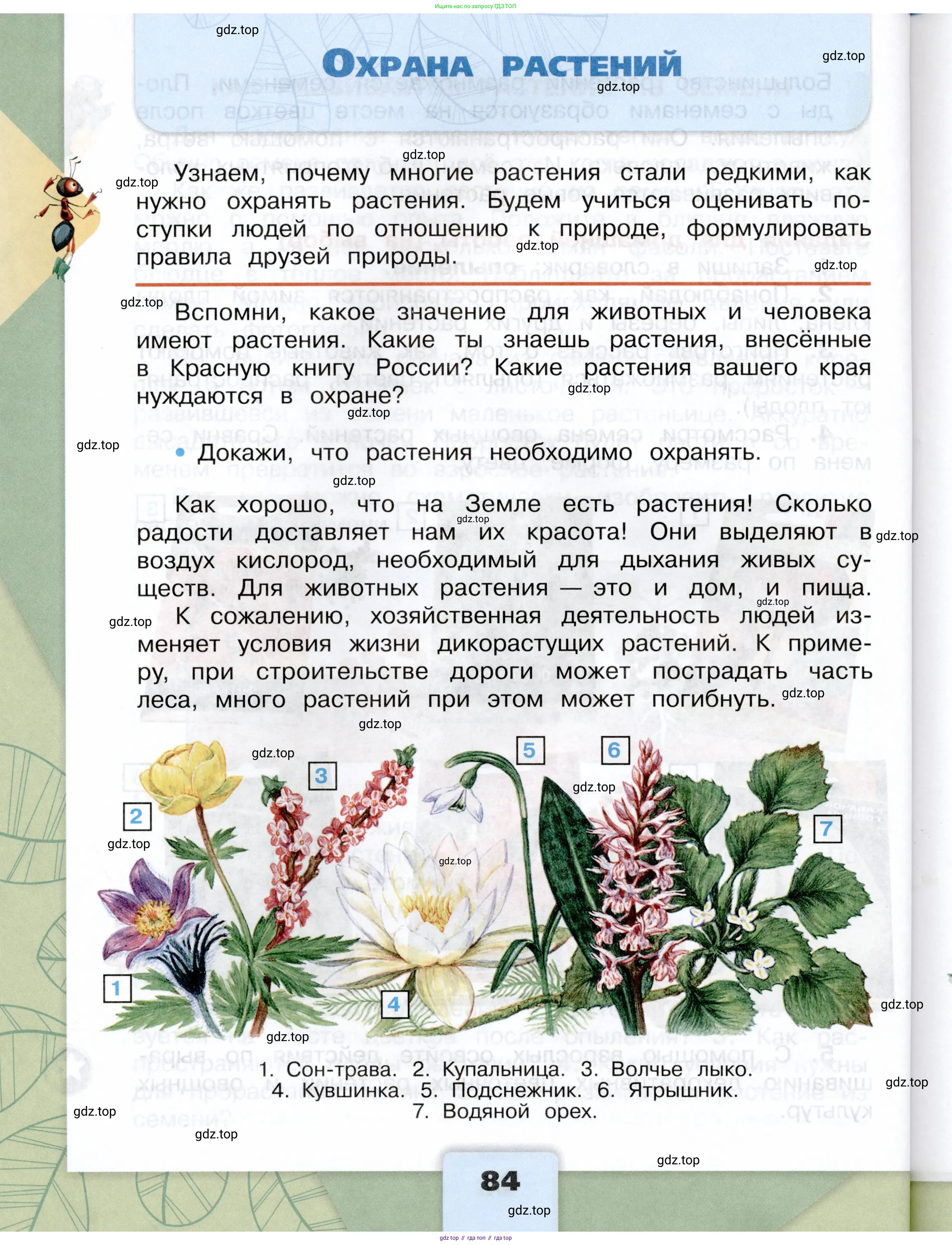 Окружающий мир, 3 класс Учебник, автор: Плешаков Андрей Анатольевич, издательство Просвещение, Москва, 2023, белого цвета, Часть 1, страница 84