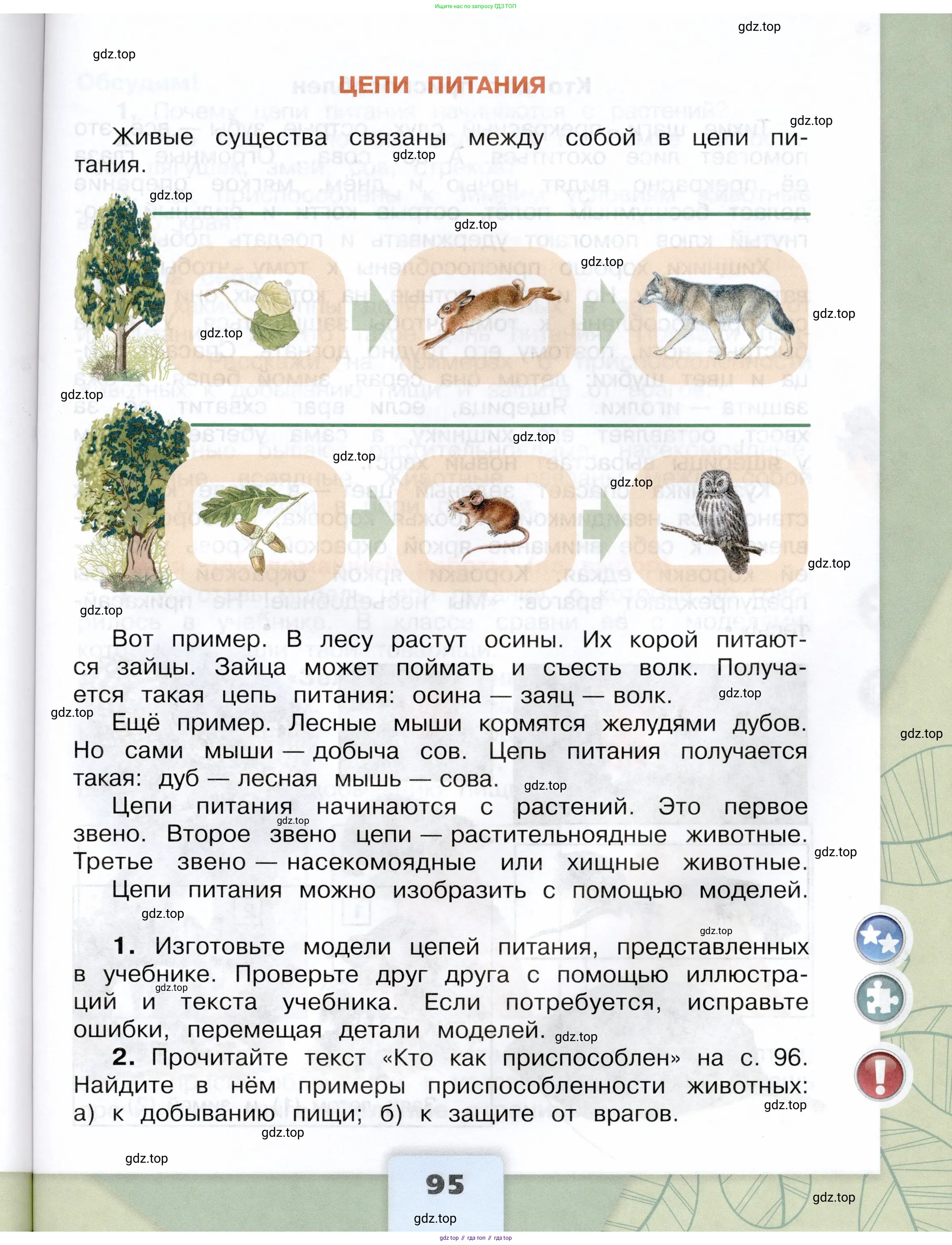 Окружающий мир, 3 класс Учебник, автор: Плешаков Андрей Анатольевич, издательство Просвещение, Москва, 2023, белого цвета, страница 95